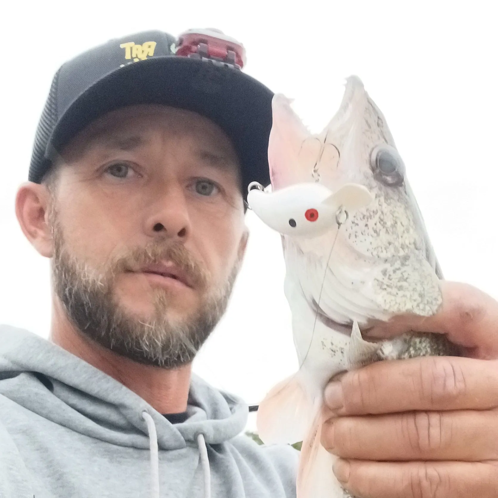 Saugeye caught on Fishbrain