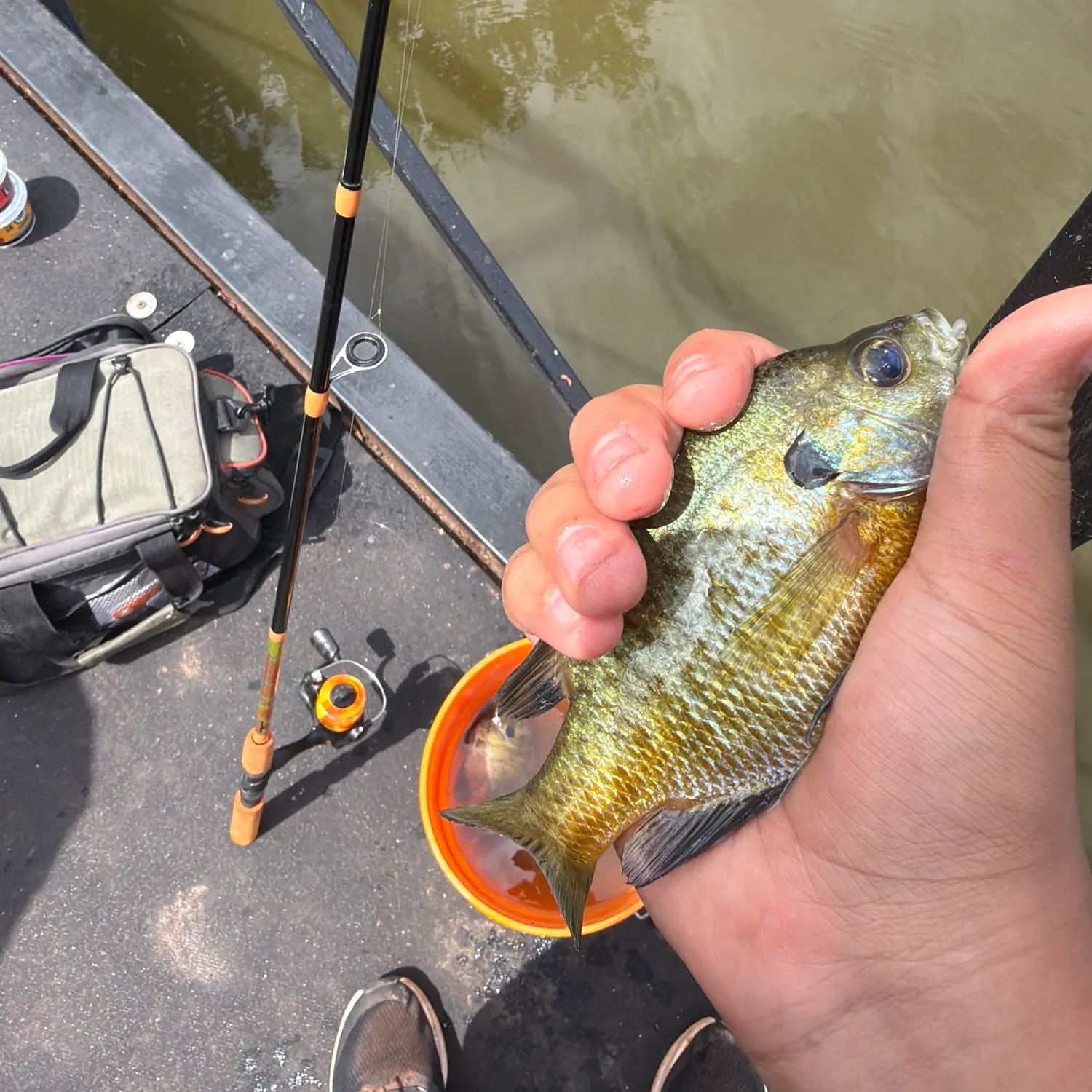 catch