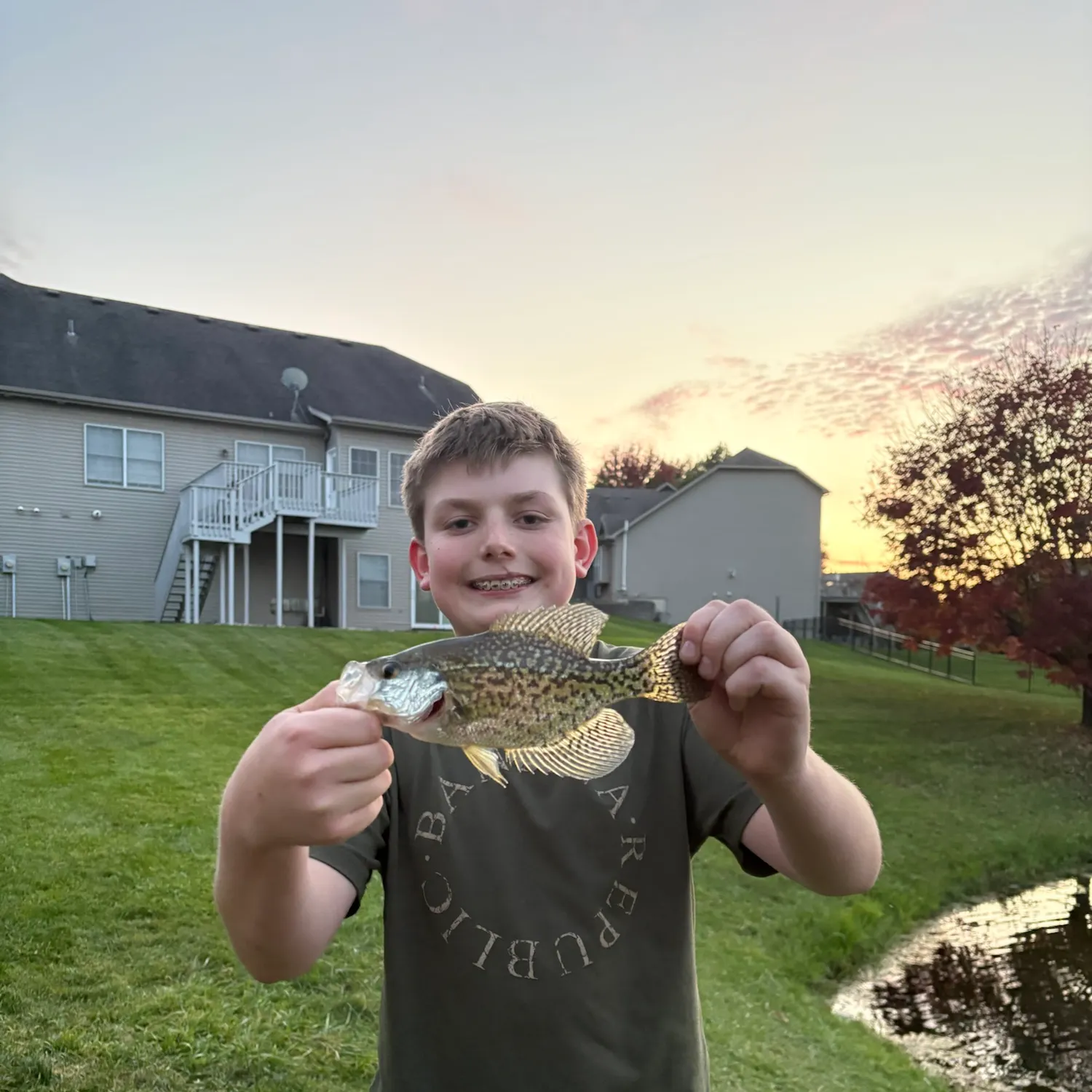 Black crappie caught on Fishbrain