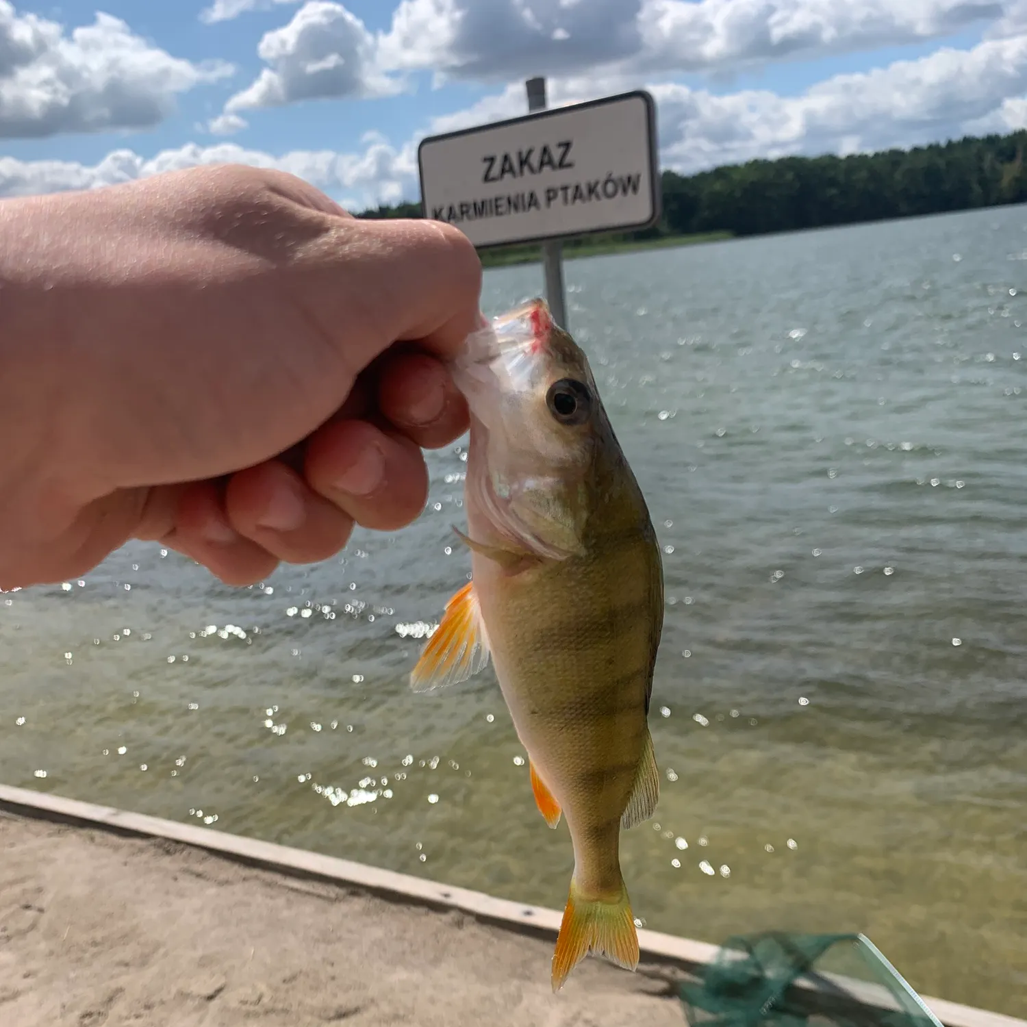 catch