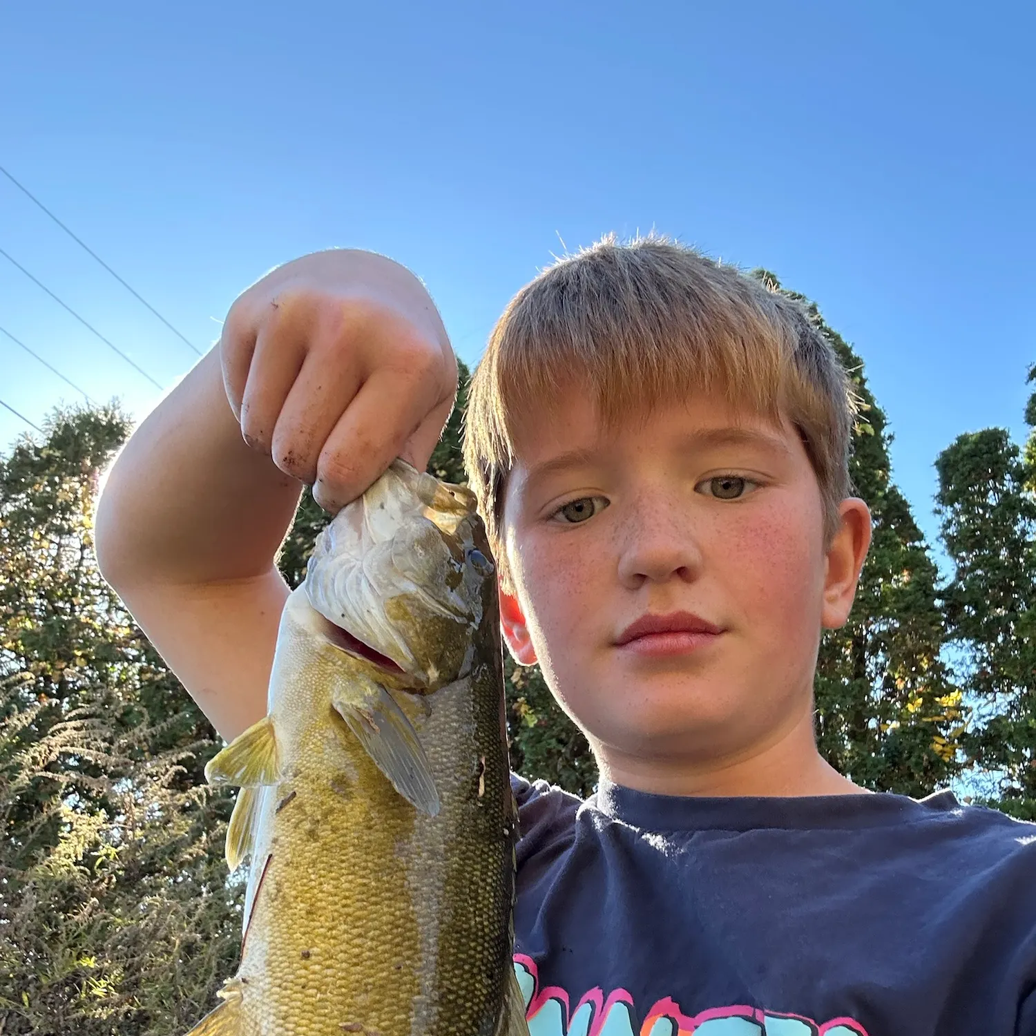 Smallmouth bass caught on Fishbrain