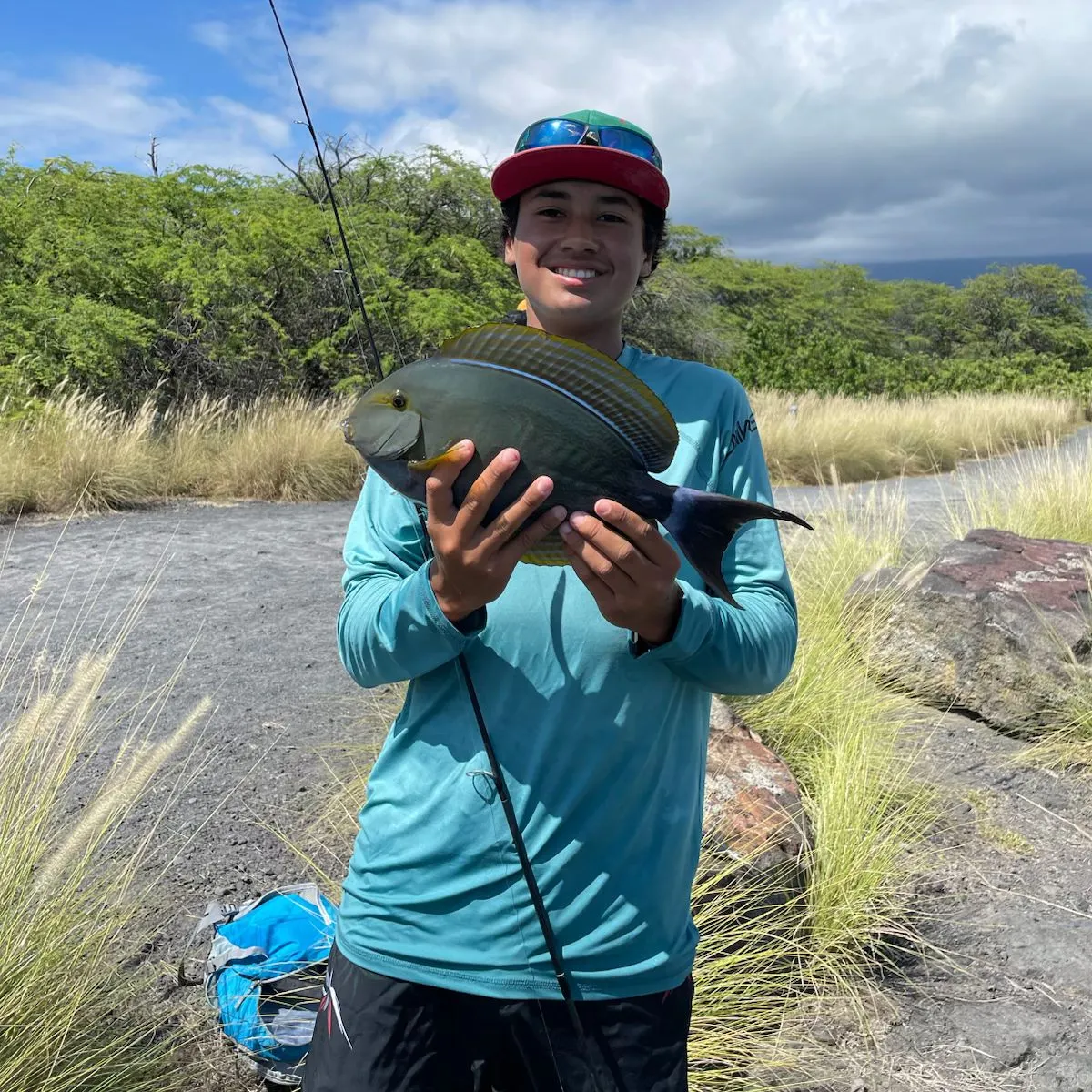 The most recent California yellowtail amberjack catches on Fishbrain