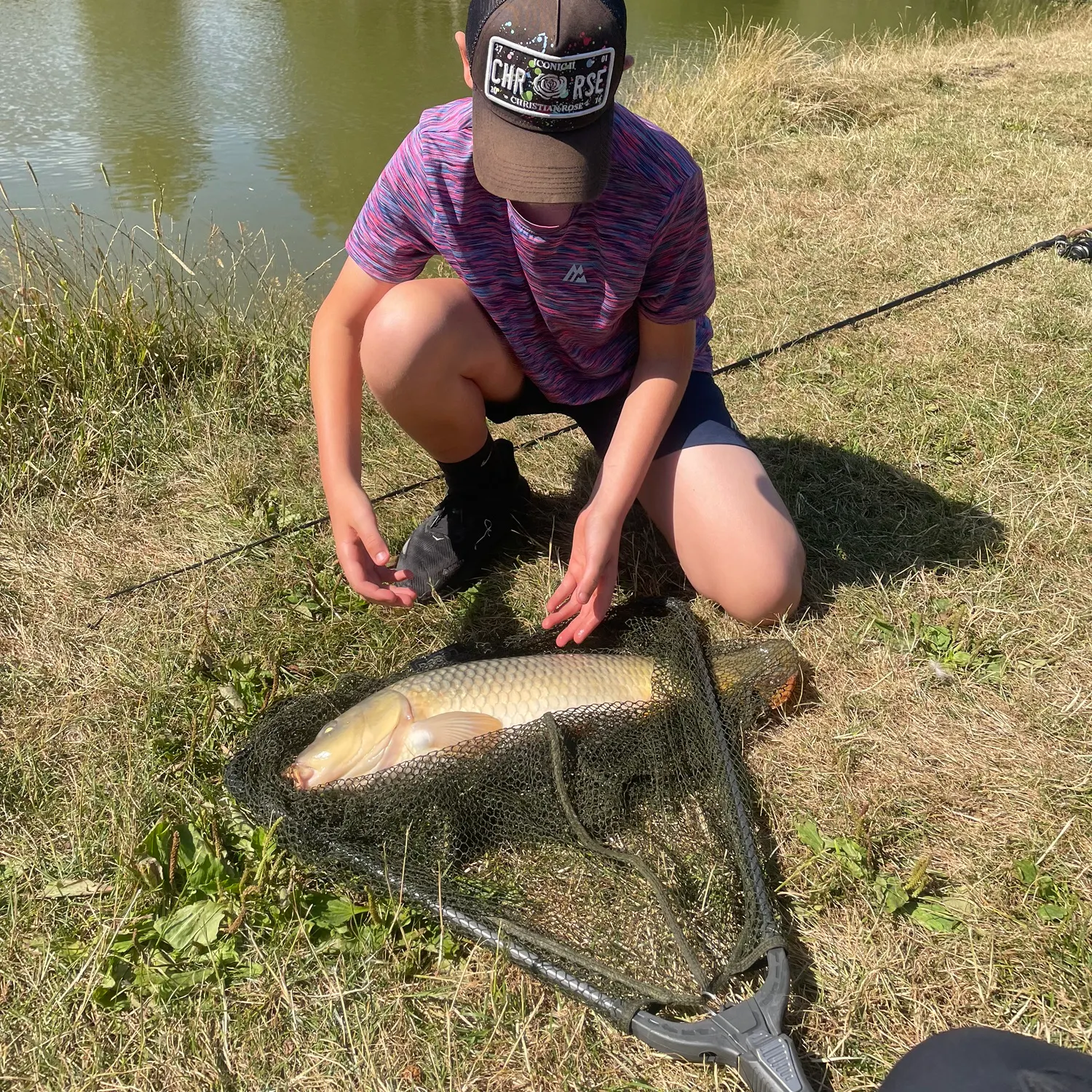 Common carp caught on Fishbrain
