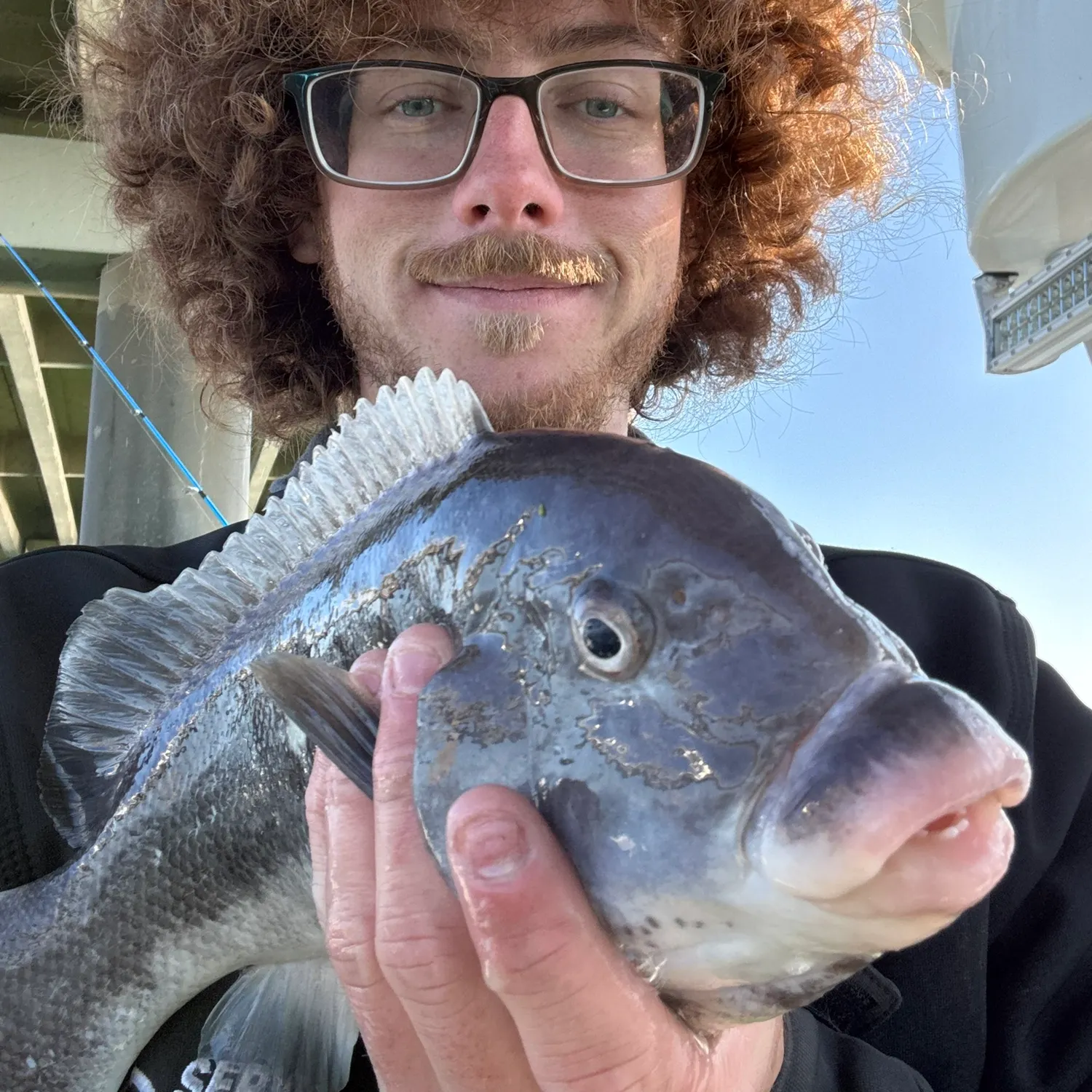 The most recent Lake sturgeon catches on Fishbrain