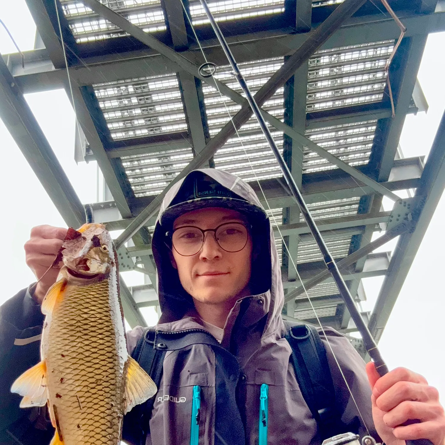 The most recent Fallfish catches on Fishbrain