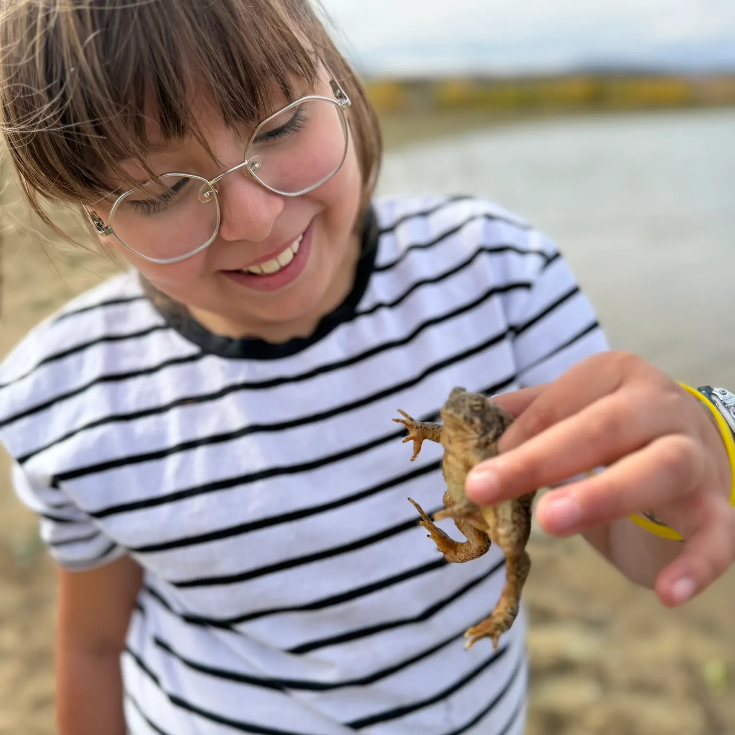 The most recent Common logperch catches on Fishbrain