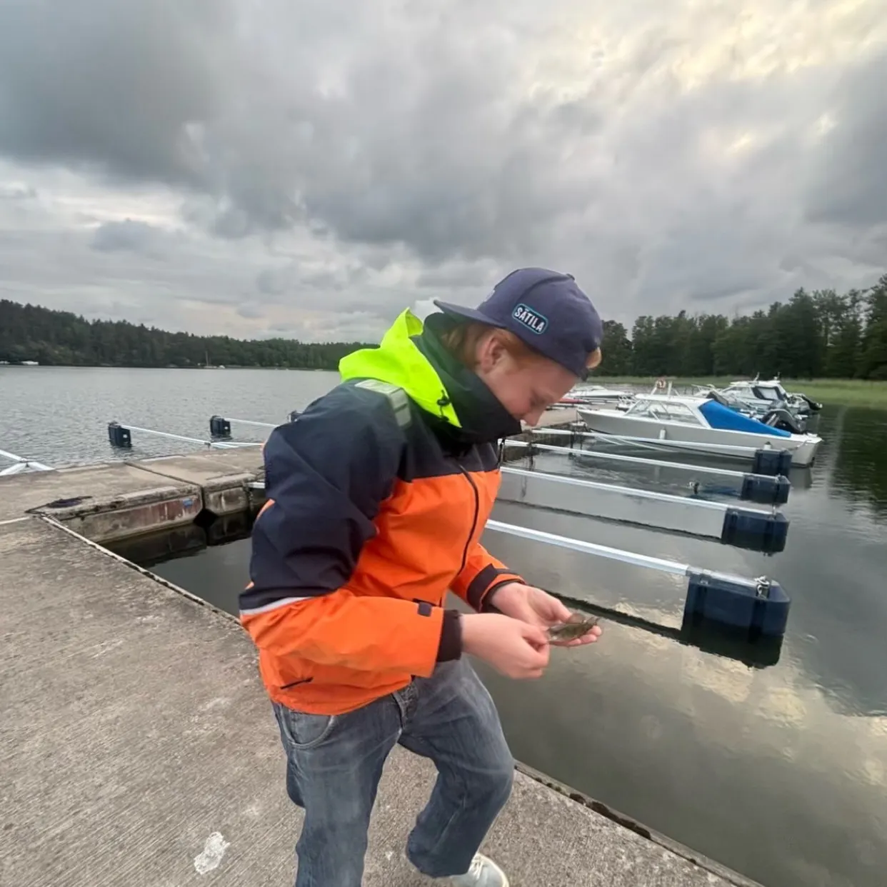 European perch caught on Fishbrain