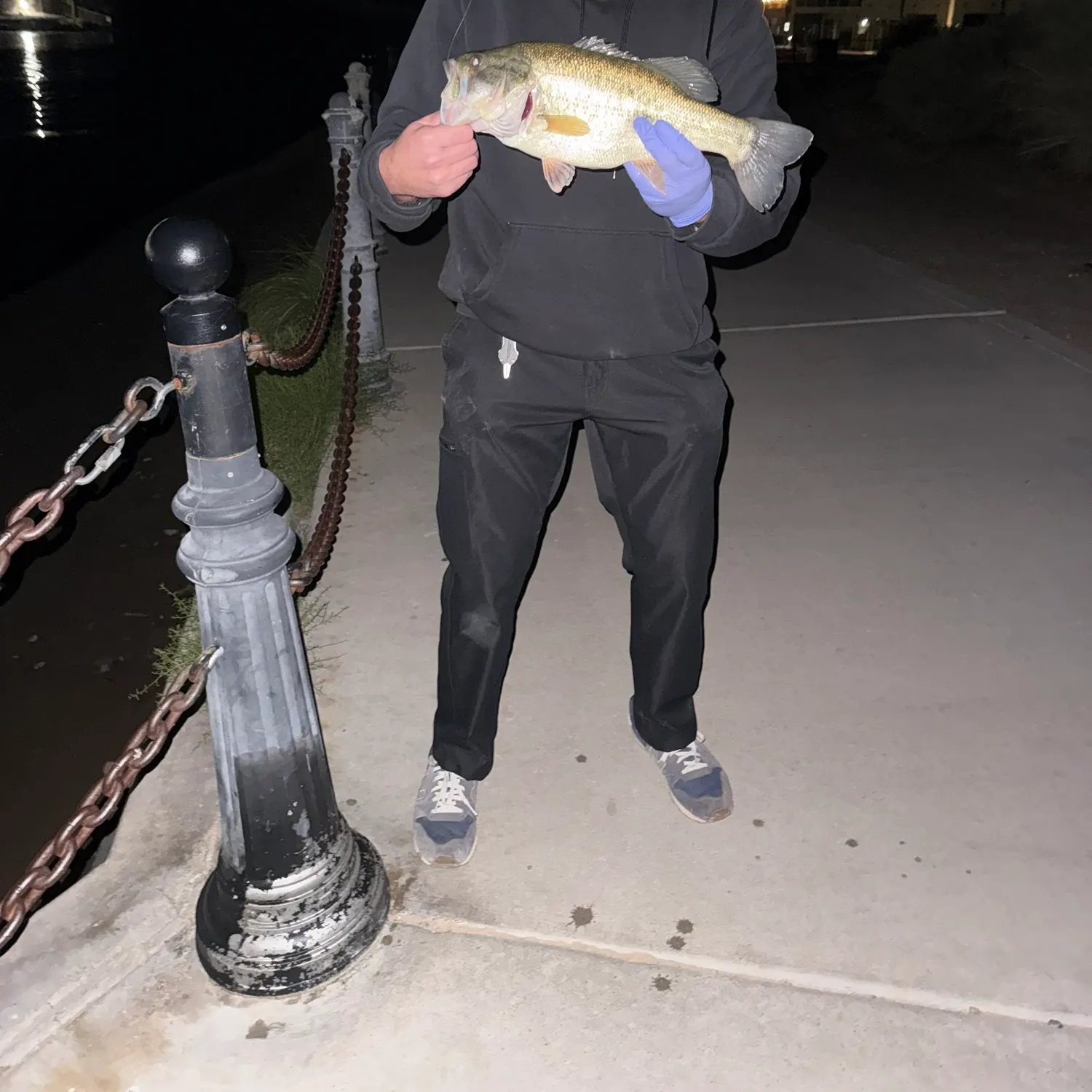 The most recent Largemouth bass catches on Fishbrain