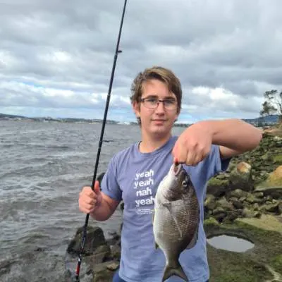 The most recent Southern black bream catches on Fishbrain
