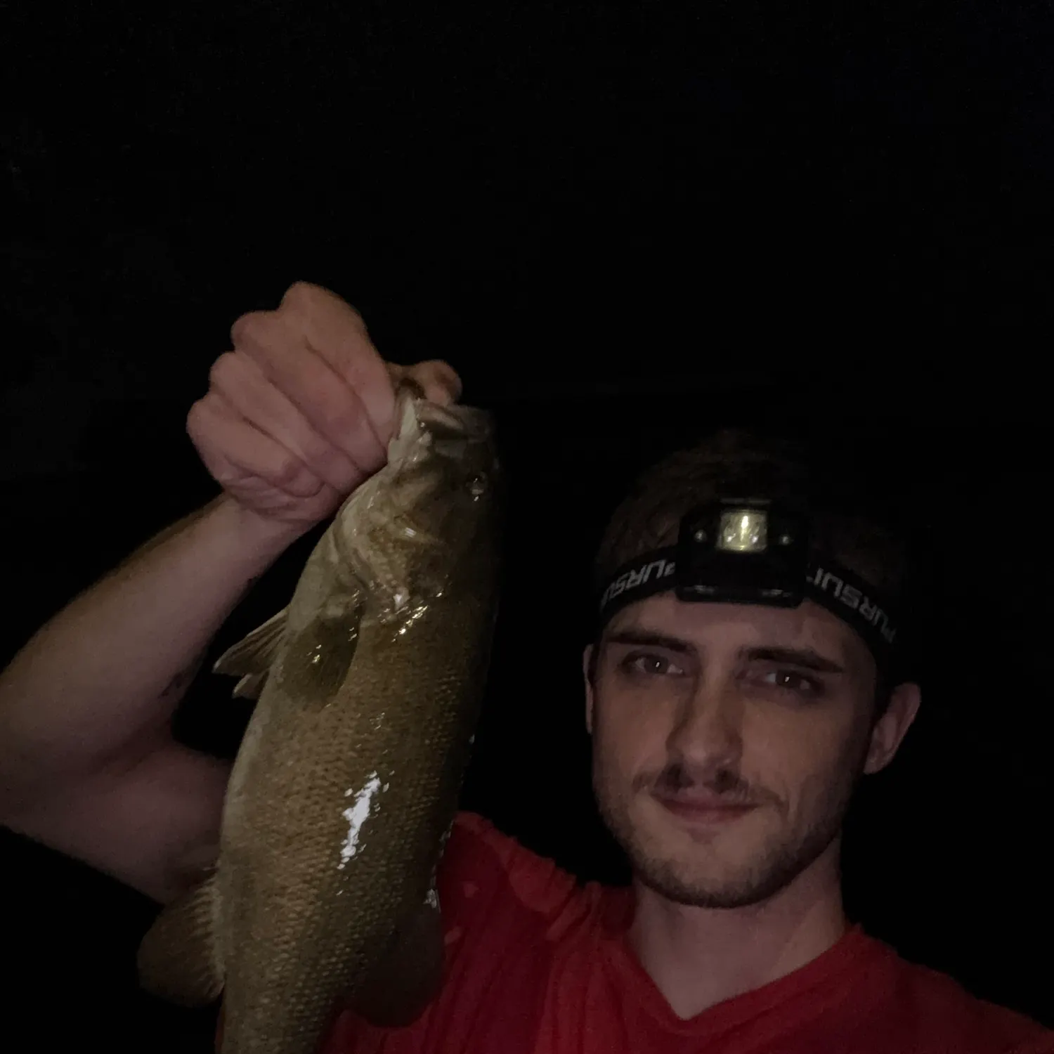 Smallmouth bass caught on Fishbrain