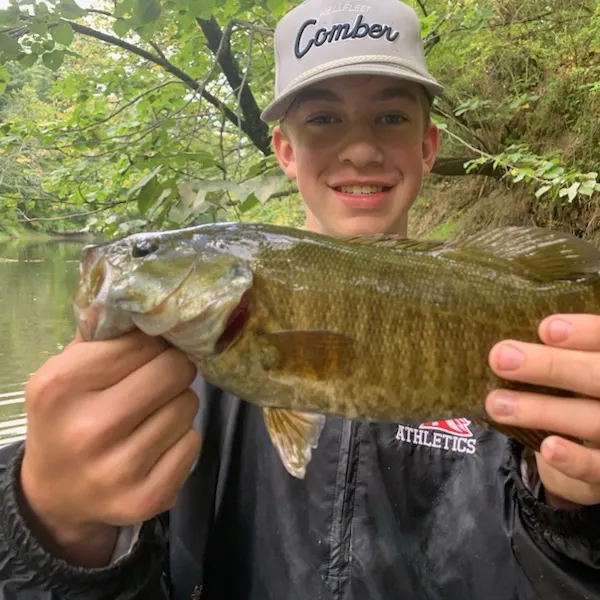 Smallmouth bass caught on Fishbrain