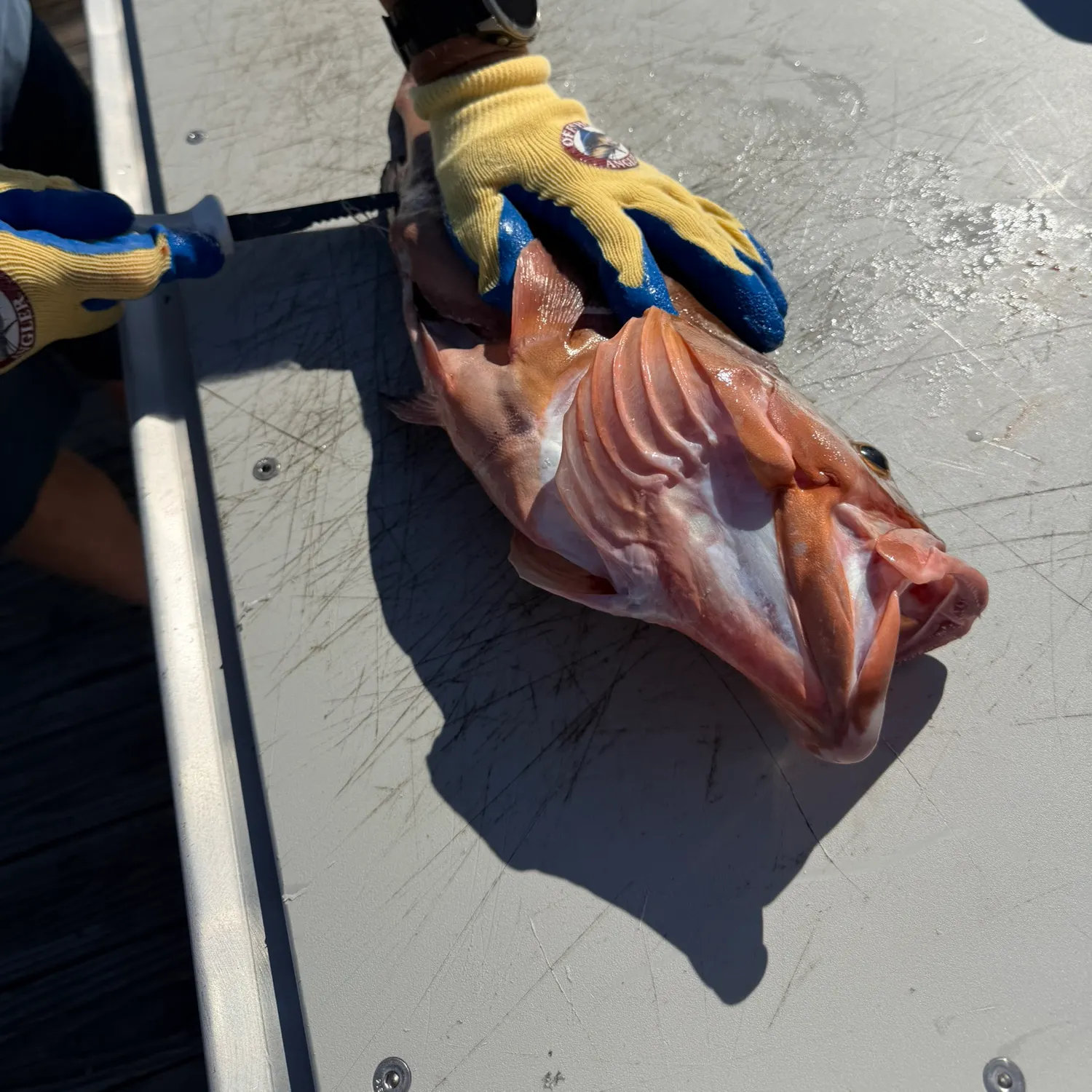 catch