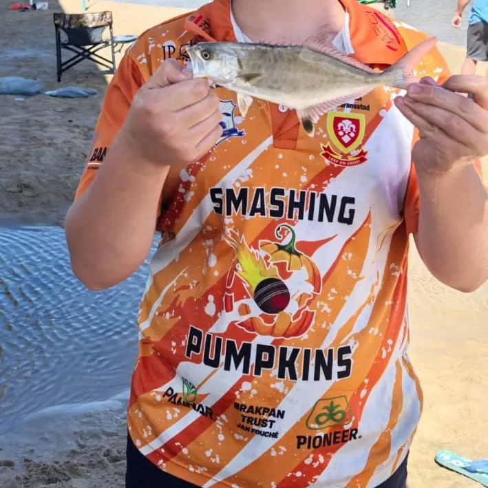 The most recent Leerfish catches on Fishbrain