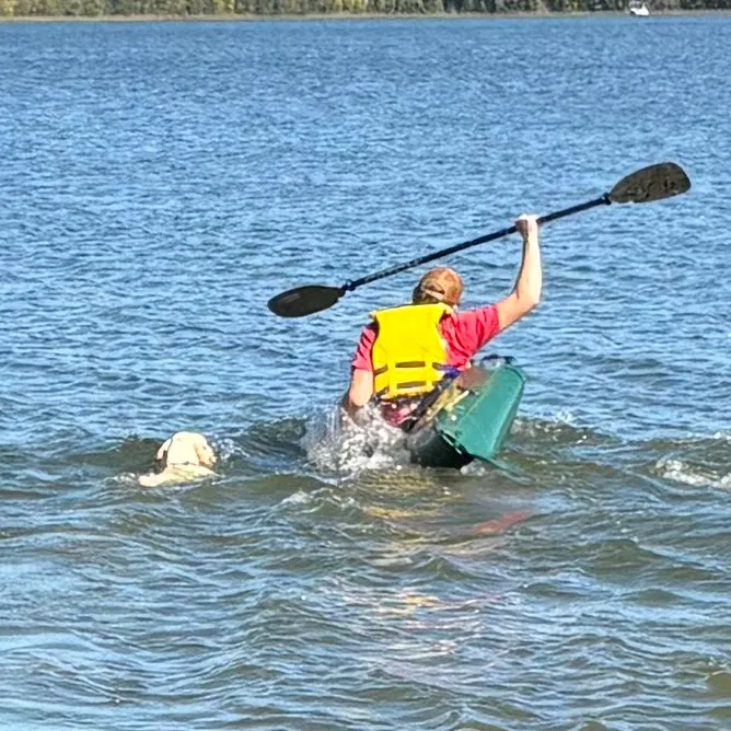 Northern pike caught on Fishbrain