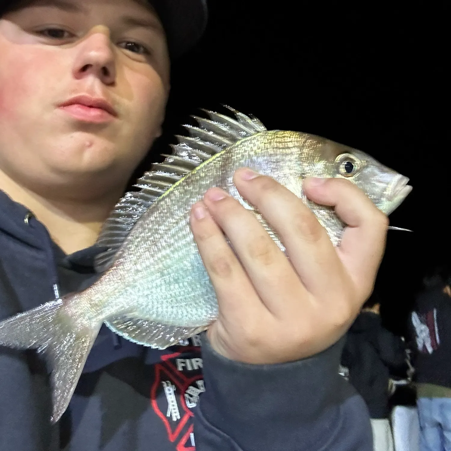The most recent Scup catches on Fishbrain