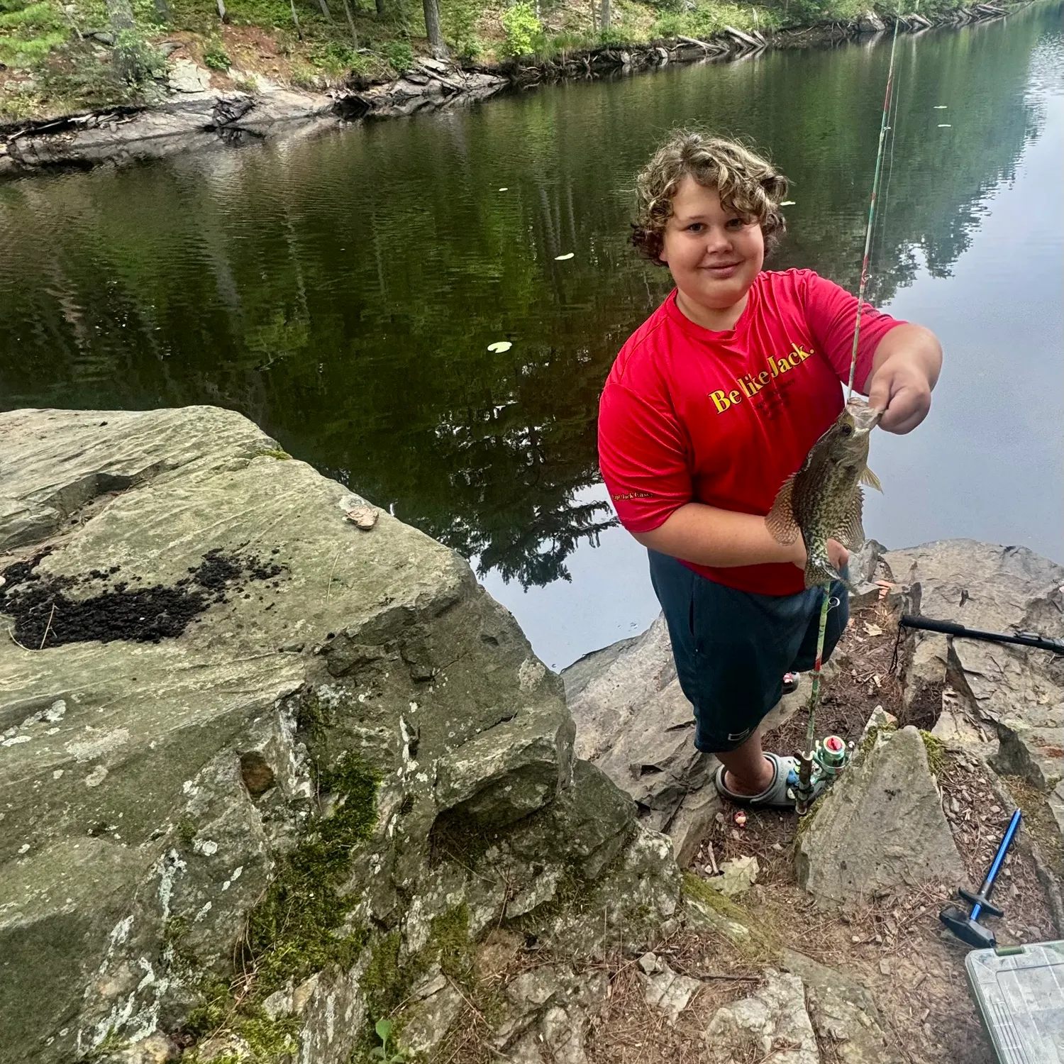 Black crappie caught on Fishbrain