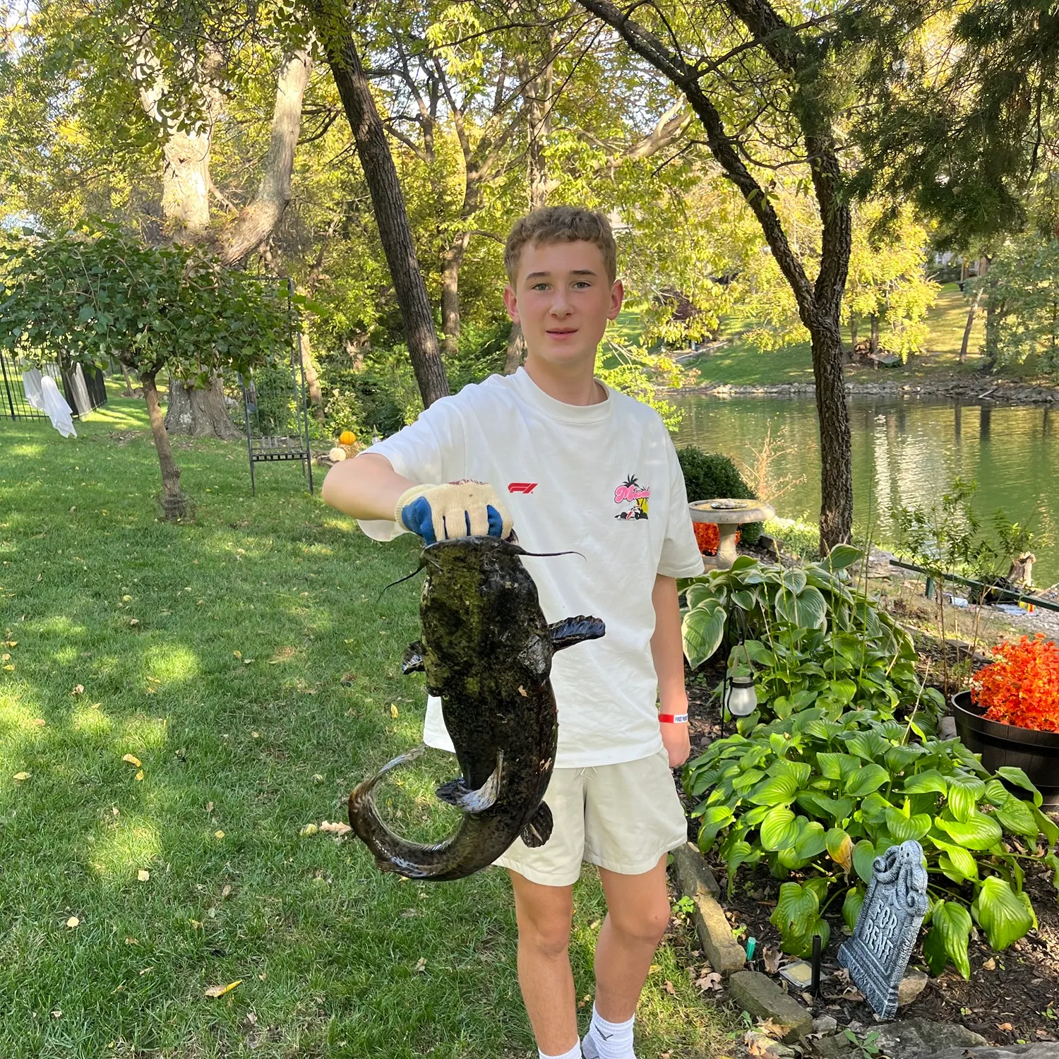 The most recent Flathead catfish catches on Fishbrain