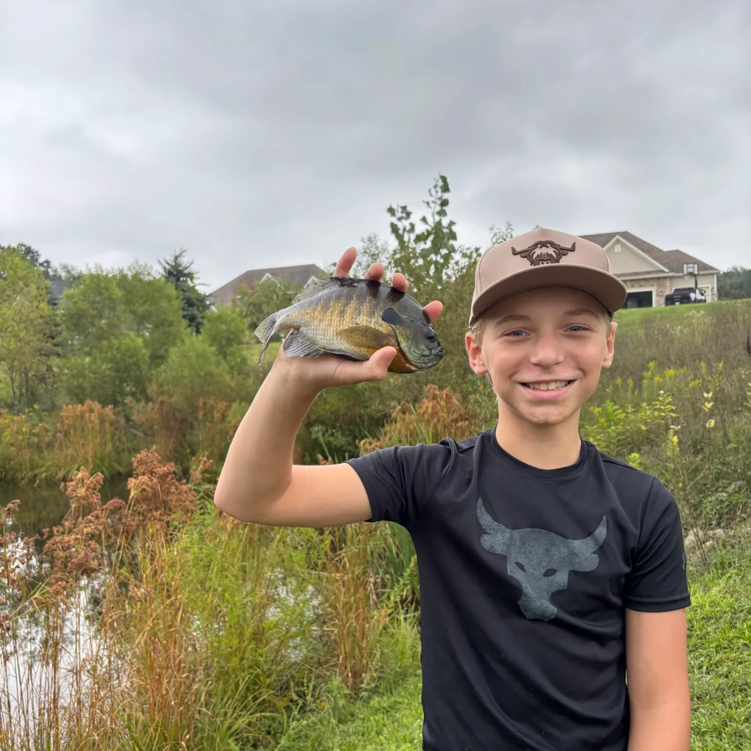 Bluegill caught on Fishbrain