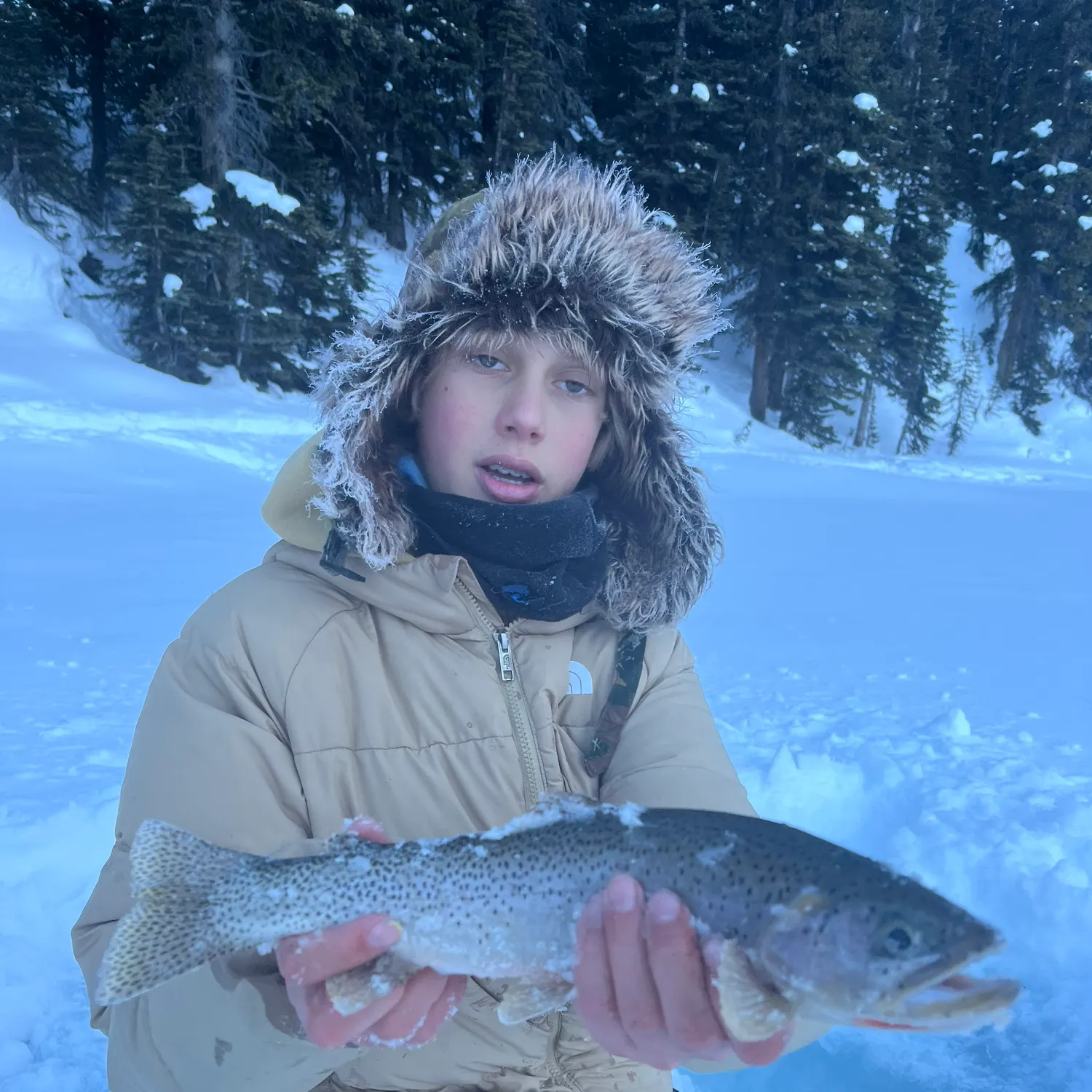 The most recent Westlope cutthroat trout catches on Fishbrain