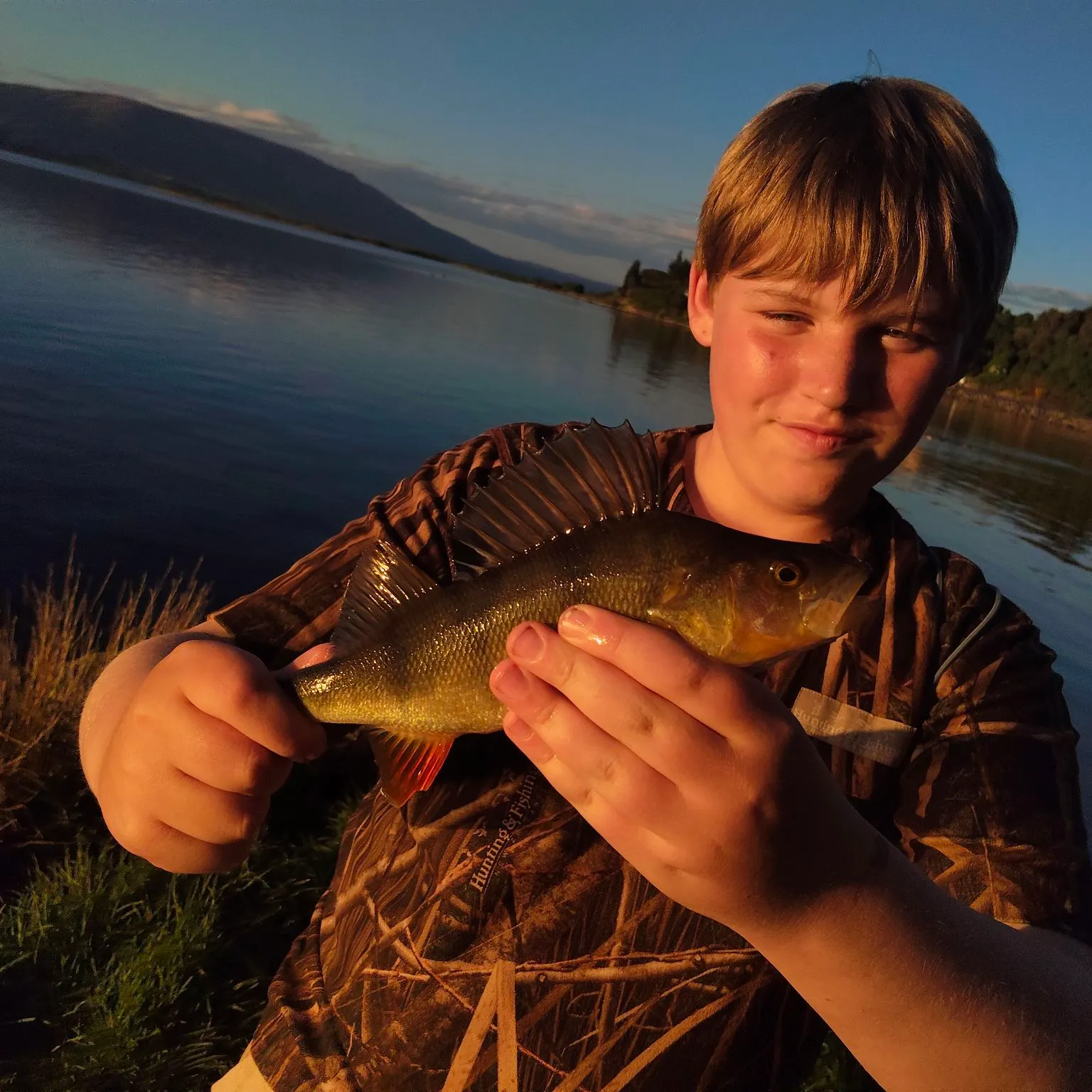 European perch caught on Fishbrain