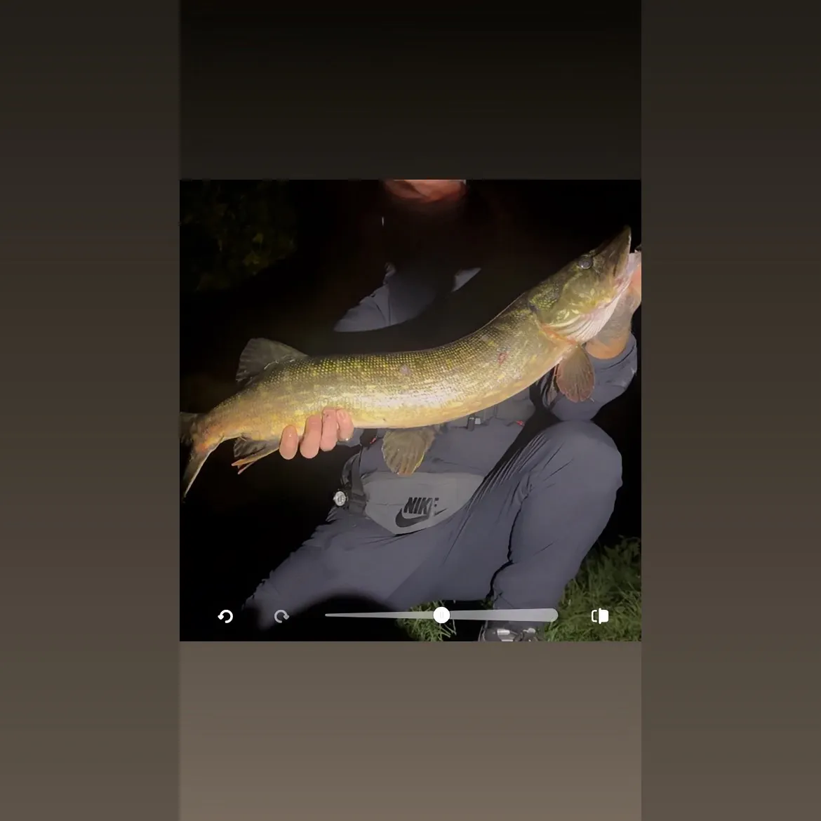 recently logged catches