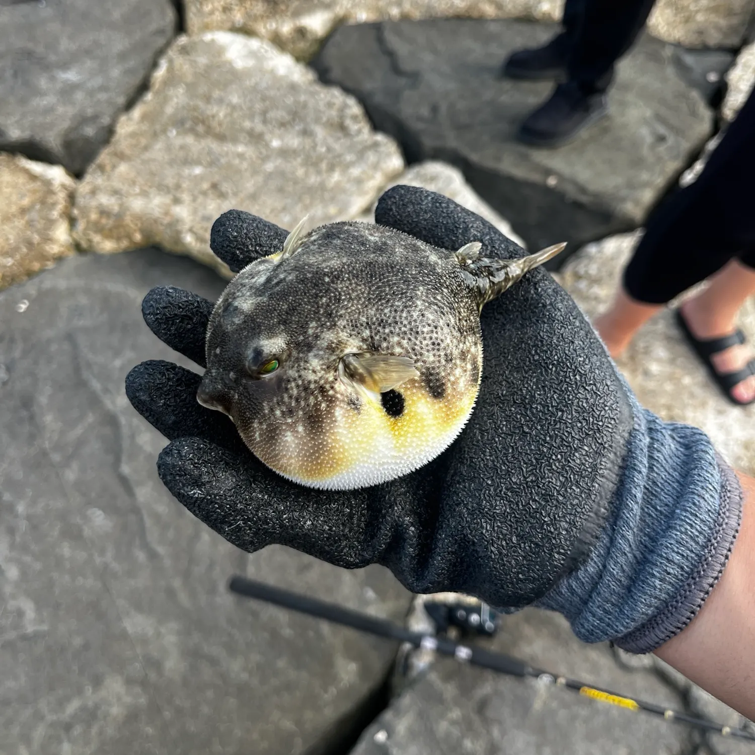 catch