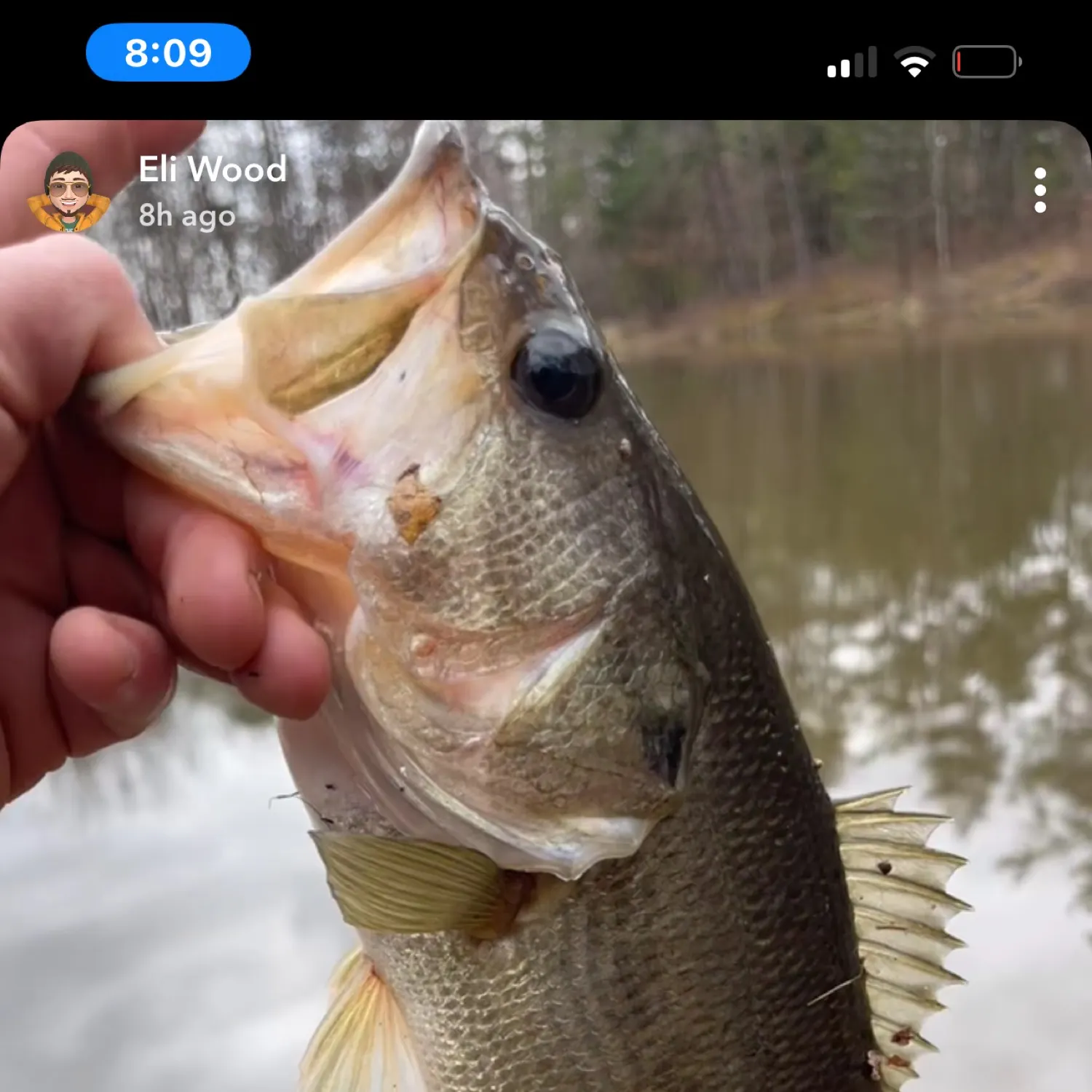 recently logged catches