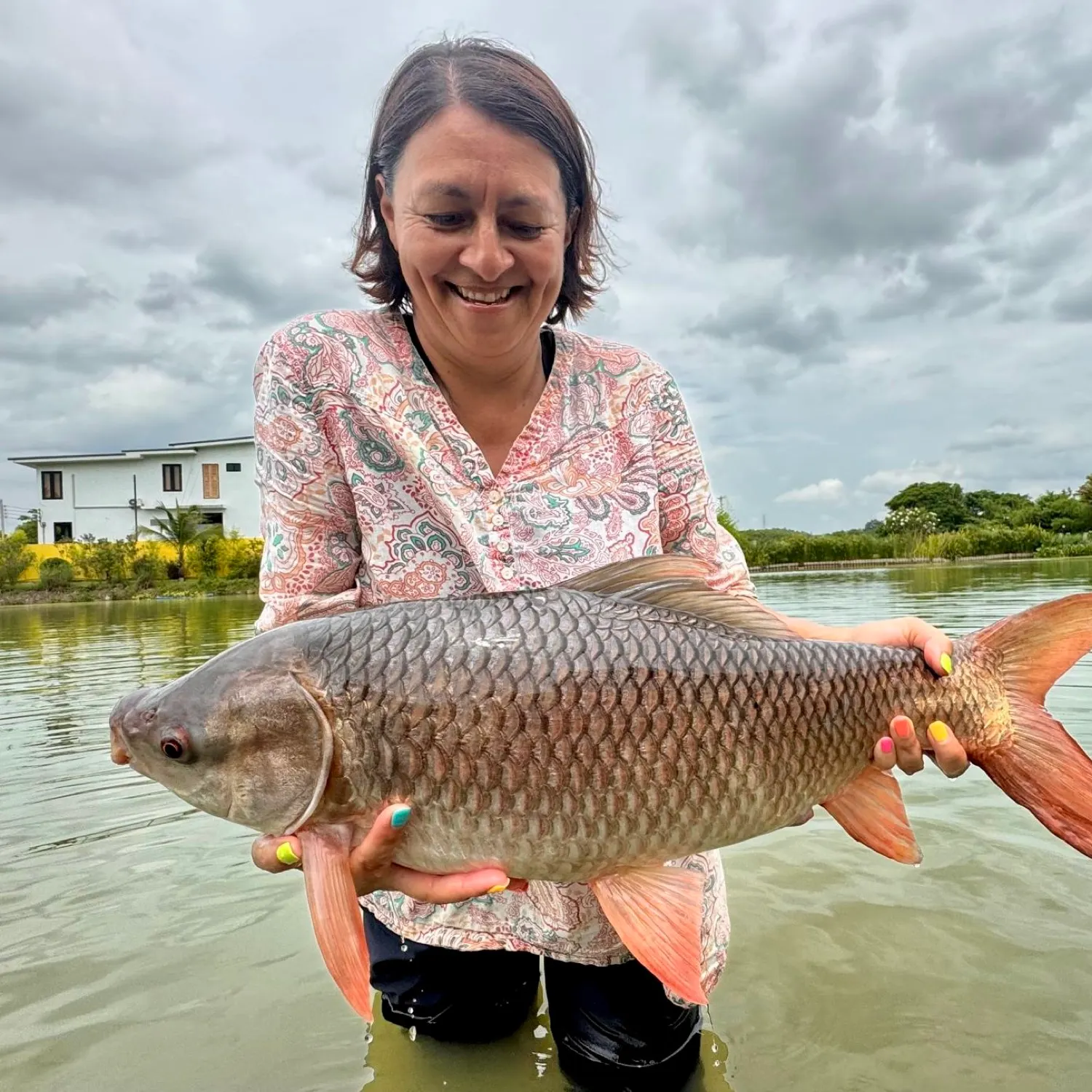The most recent Rohu carp catches on Fishbrain