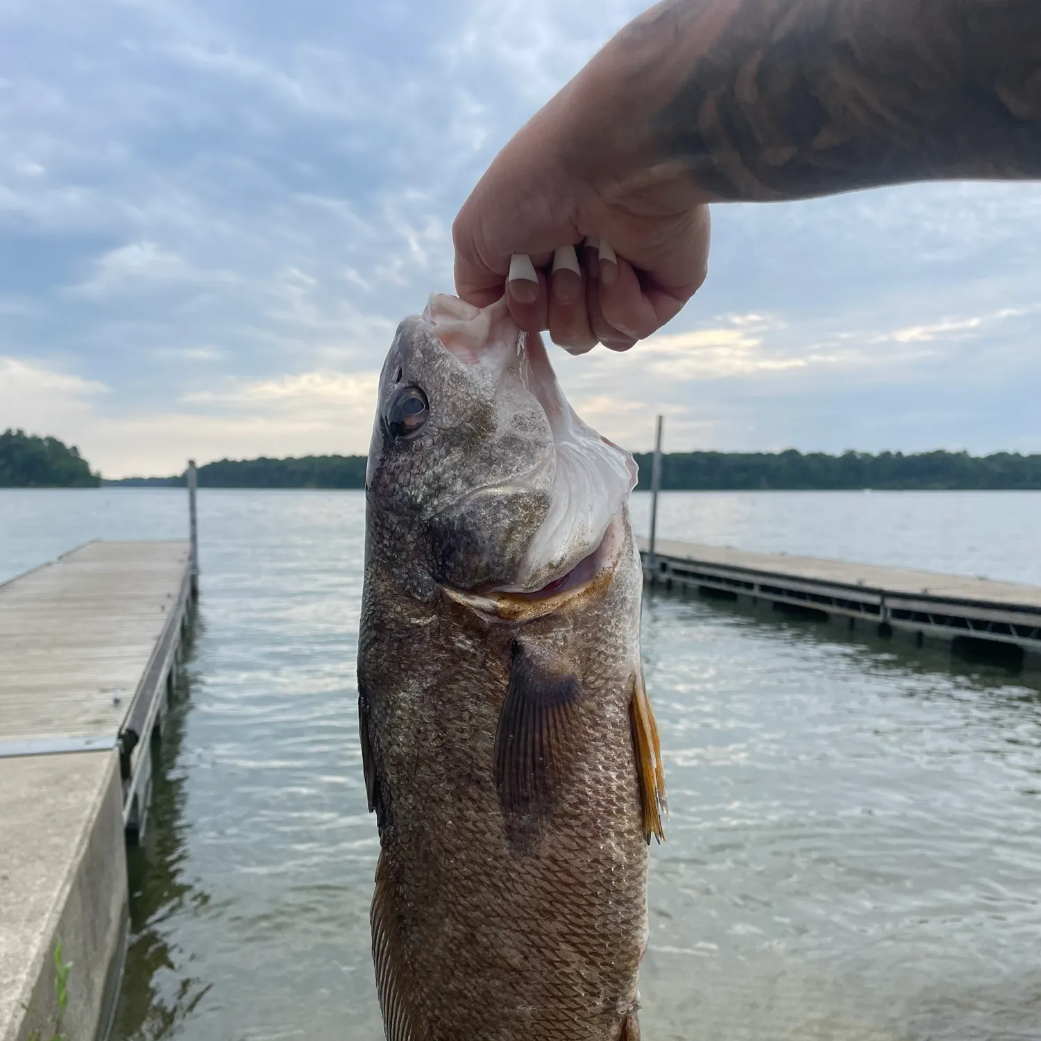 catch