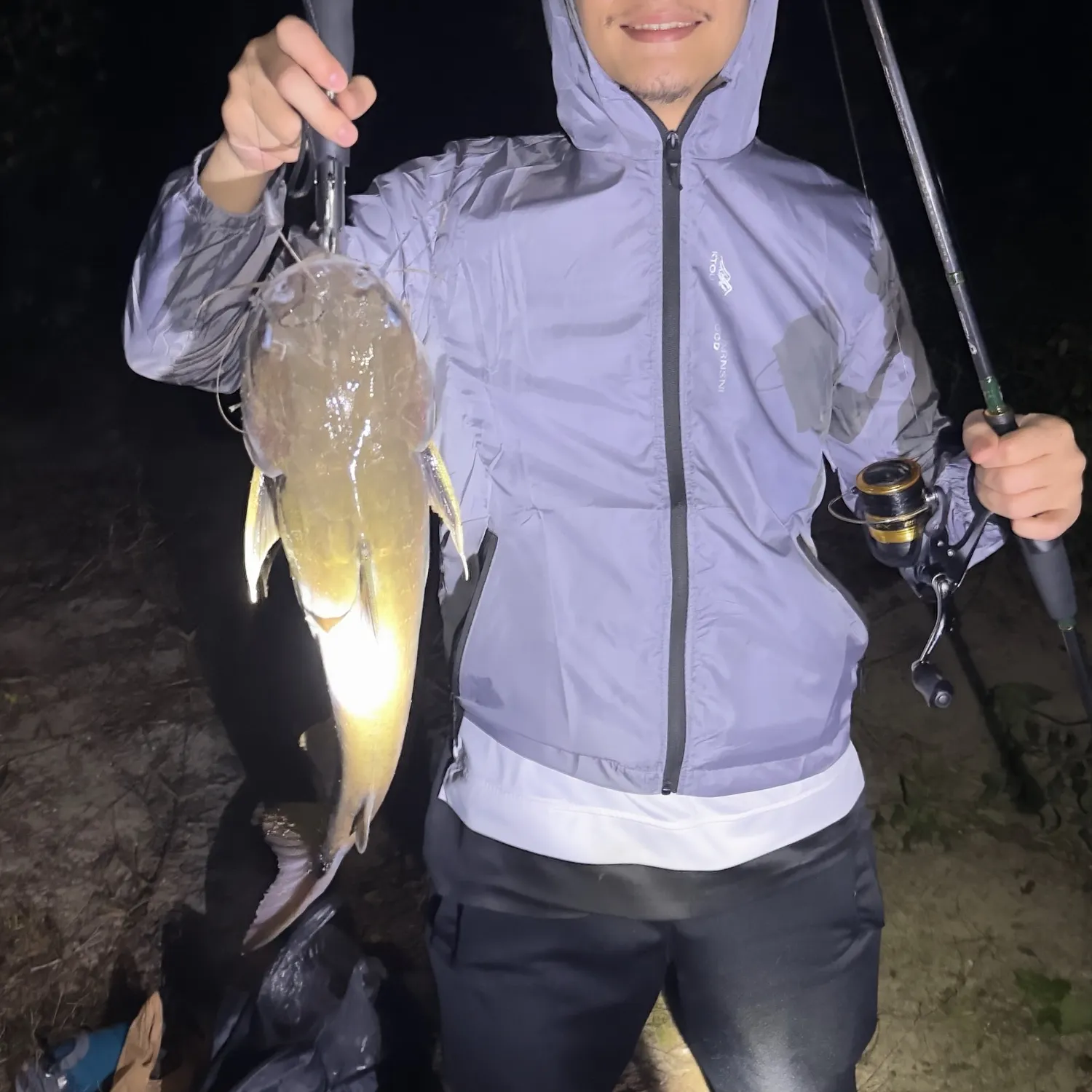 The most recent Redtail catfish catches on Fishbrain
