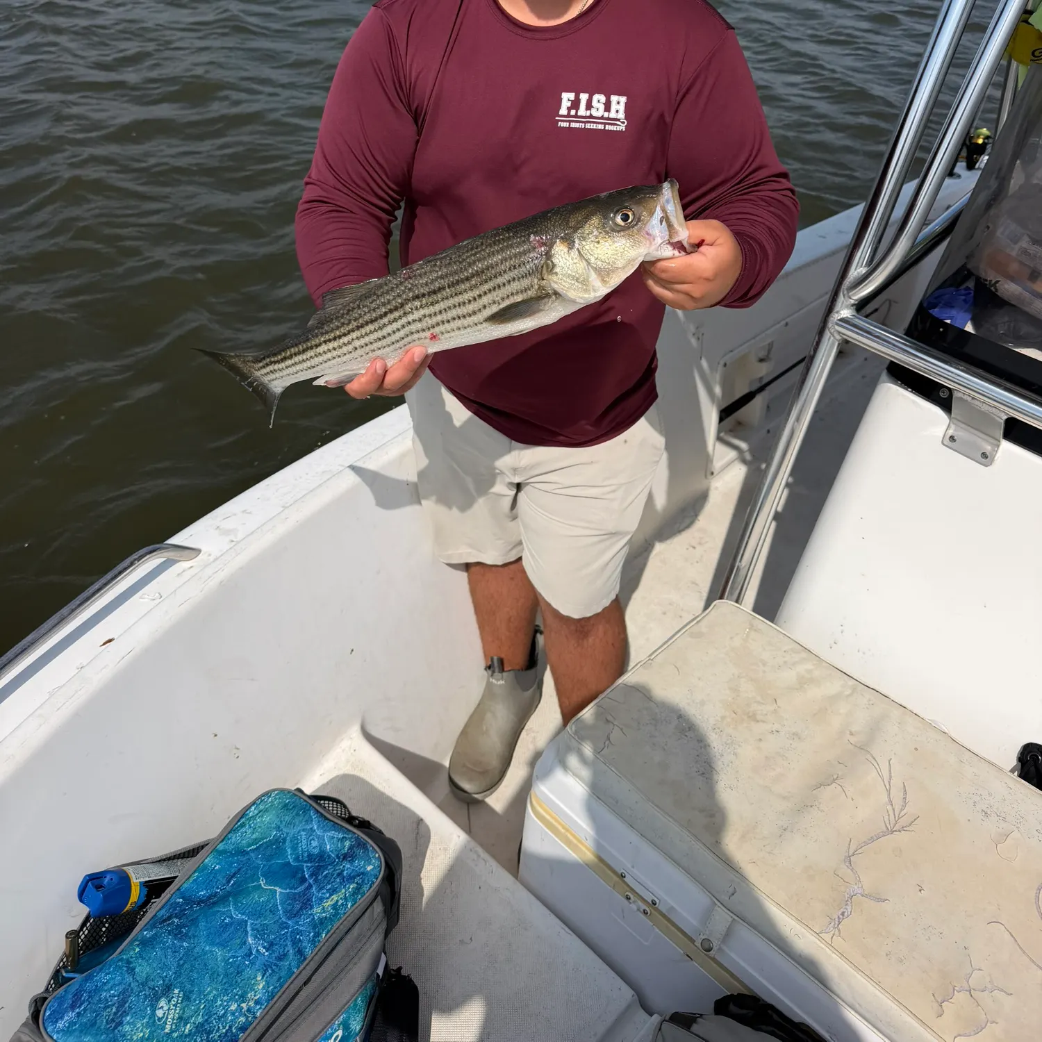 Striped bass caught on Fishbrain