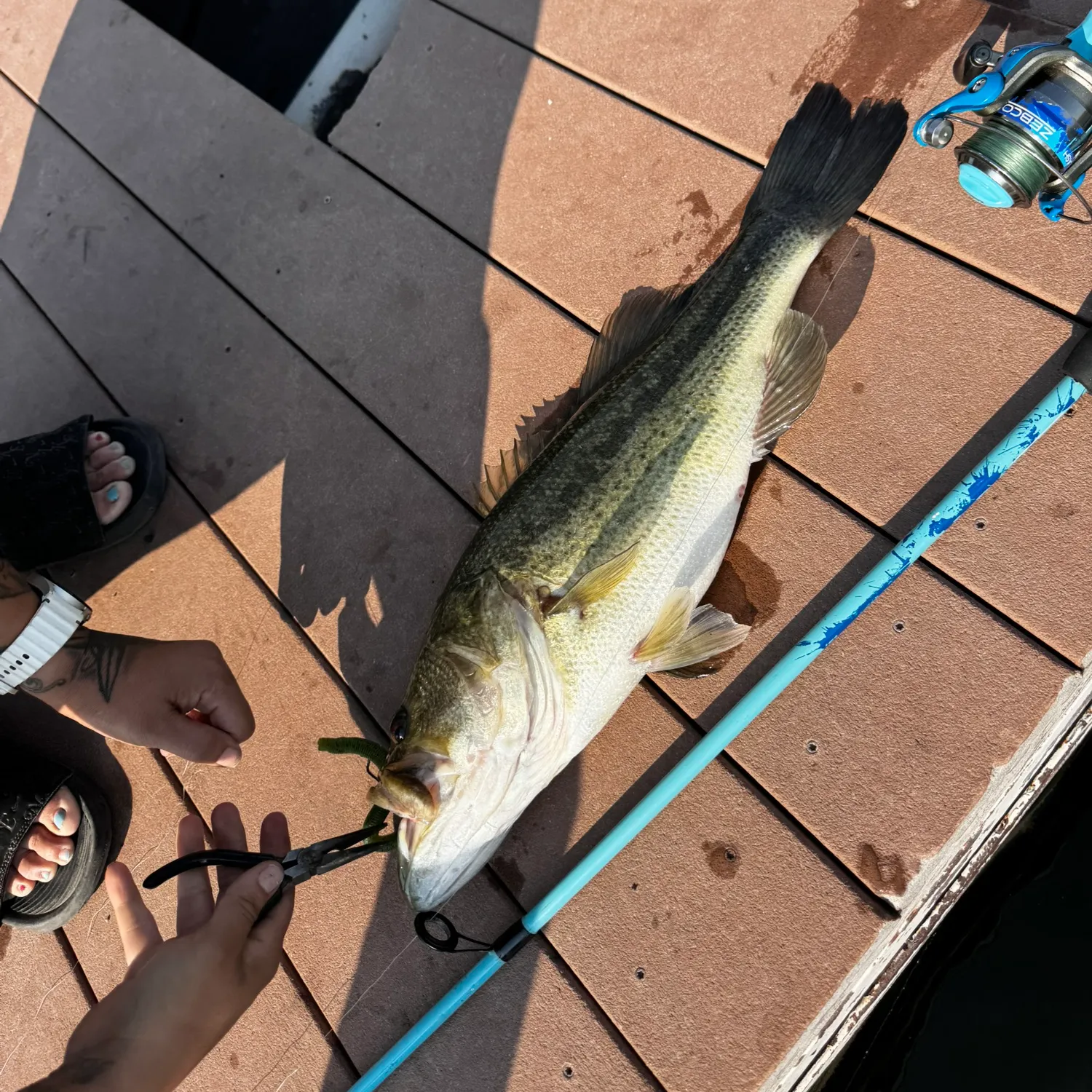 catch
