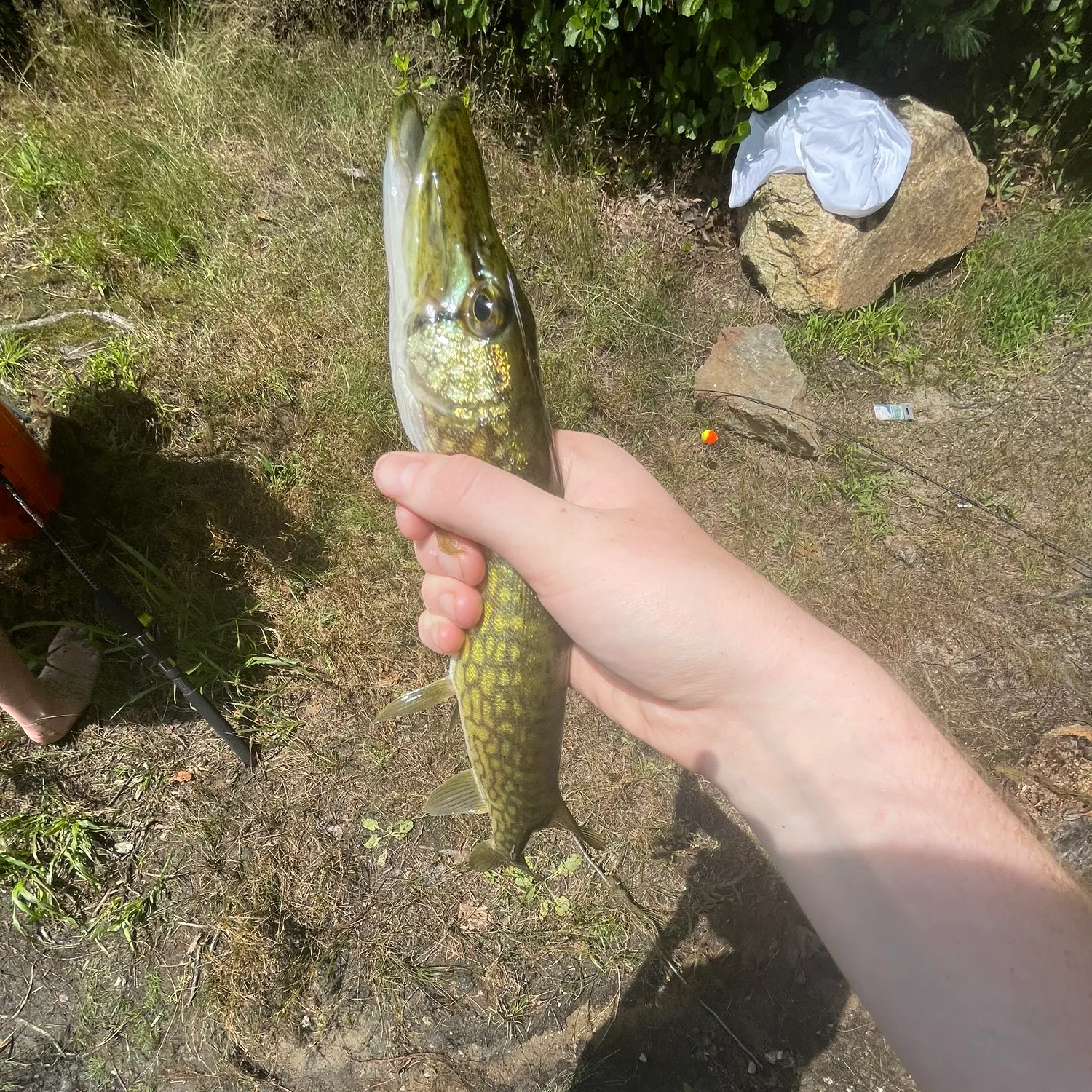 catch