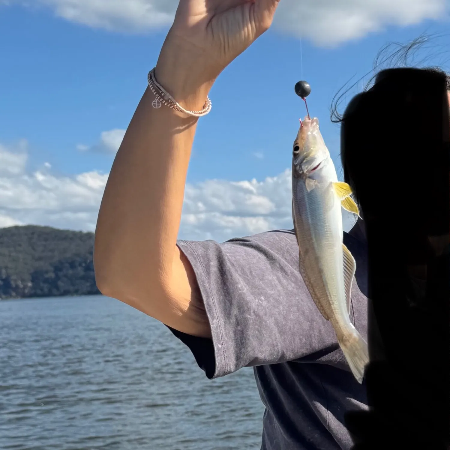 The most recent Sand sillago catches on Fishbrain