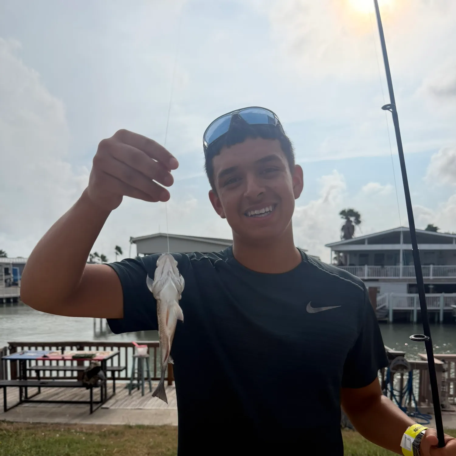 Mangrove snapper caught on Fishbrain