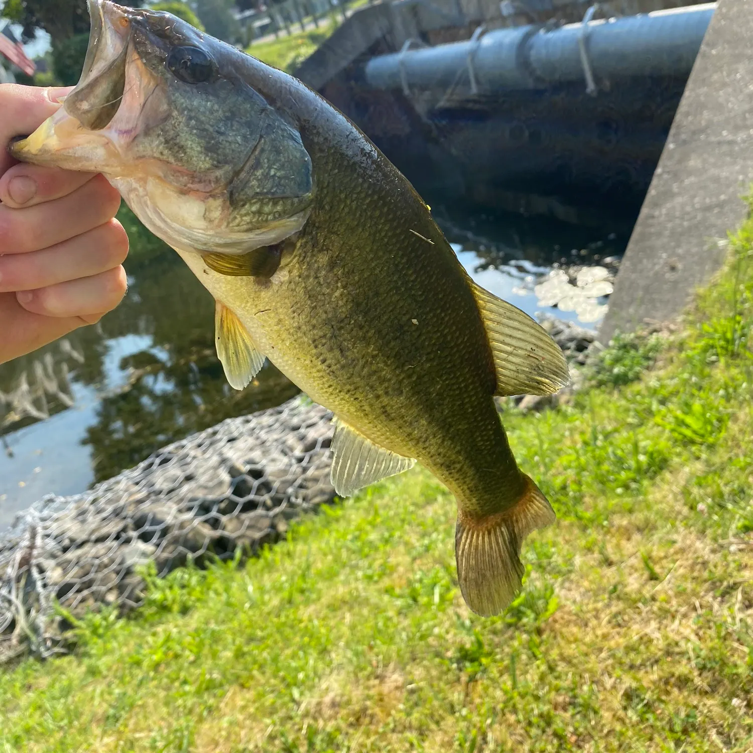 angler catch