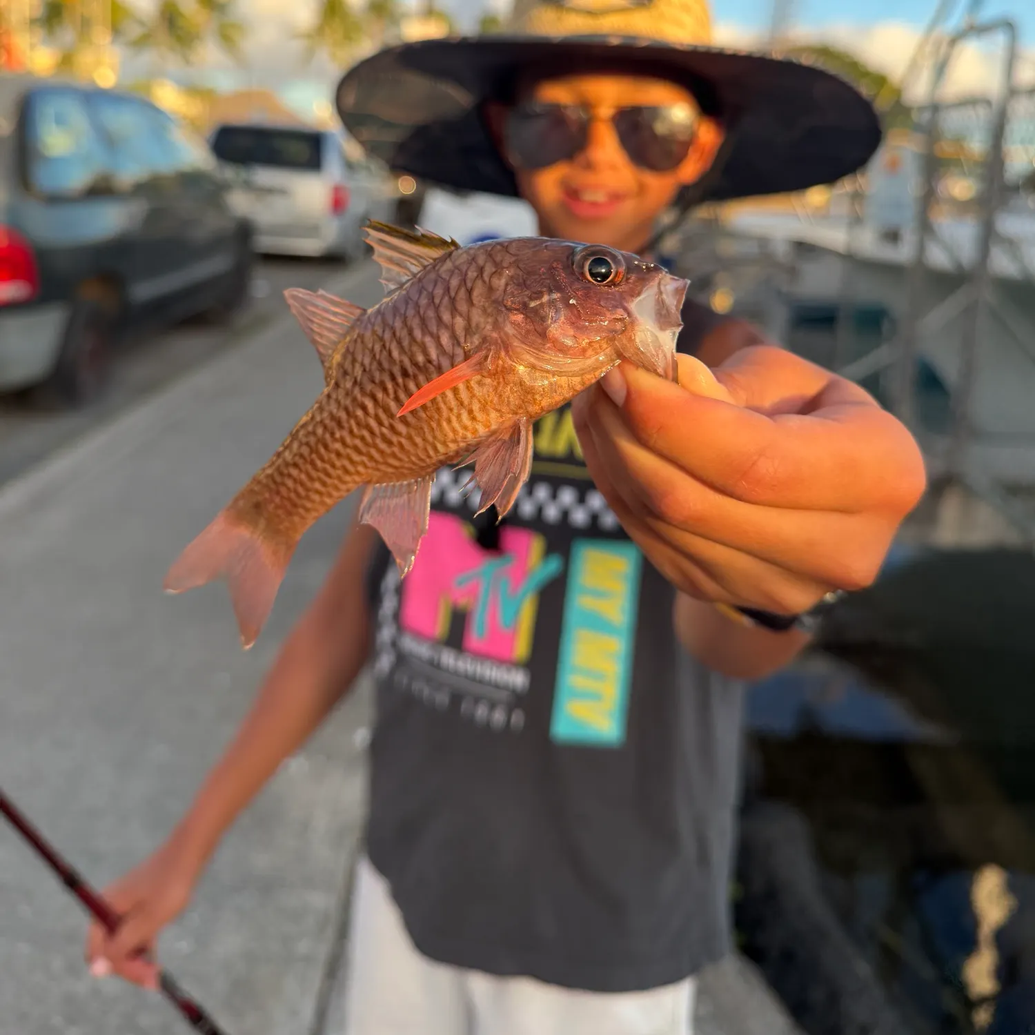 The most recent Iridescent cardinalfish catches on Fishbrain