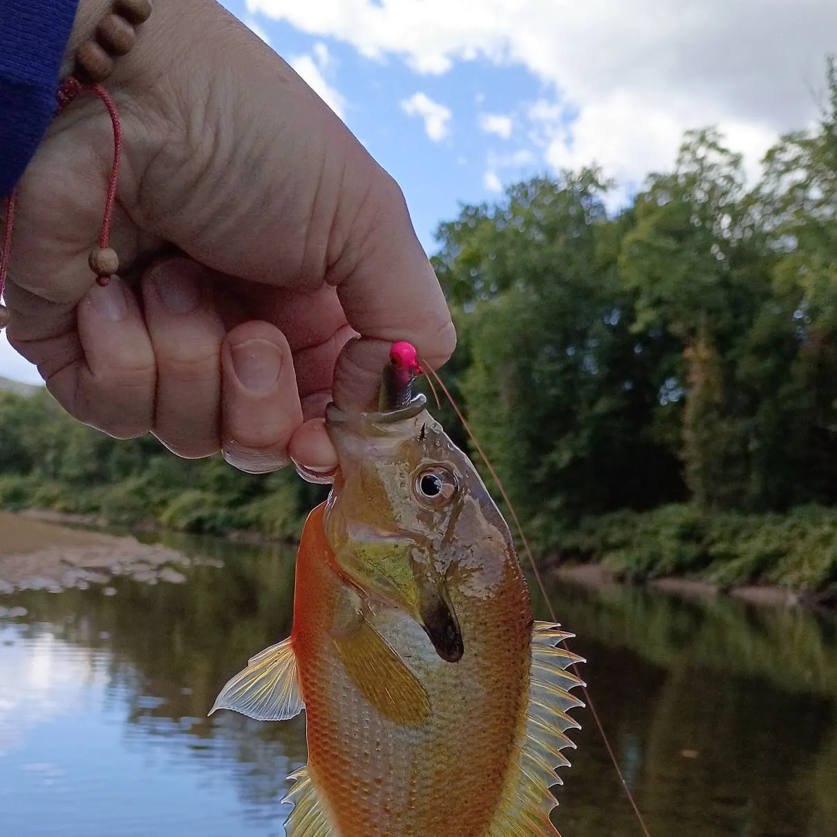 Smallmouth bass caught on Fishbrain