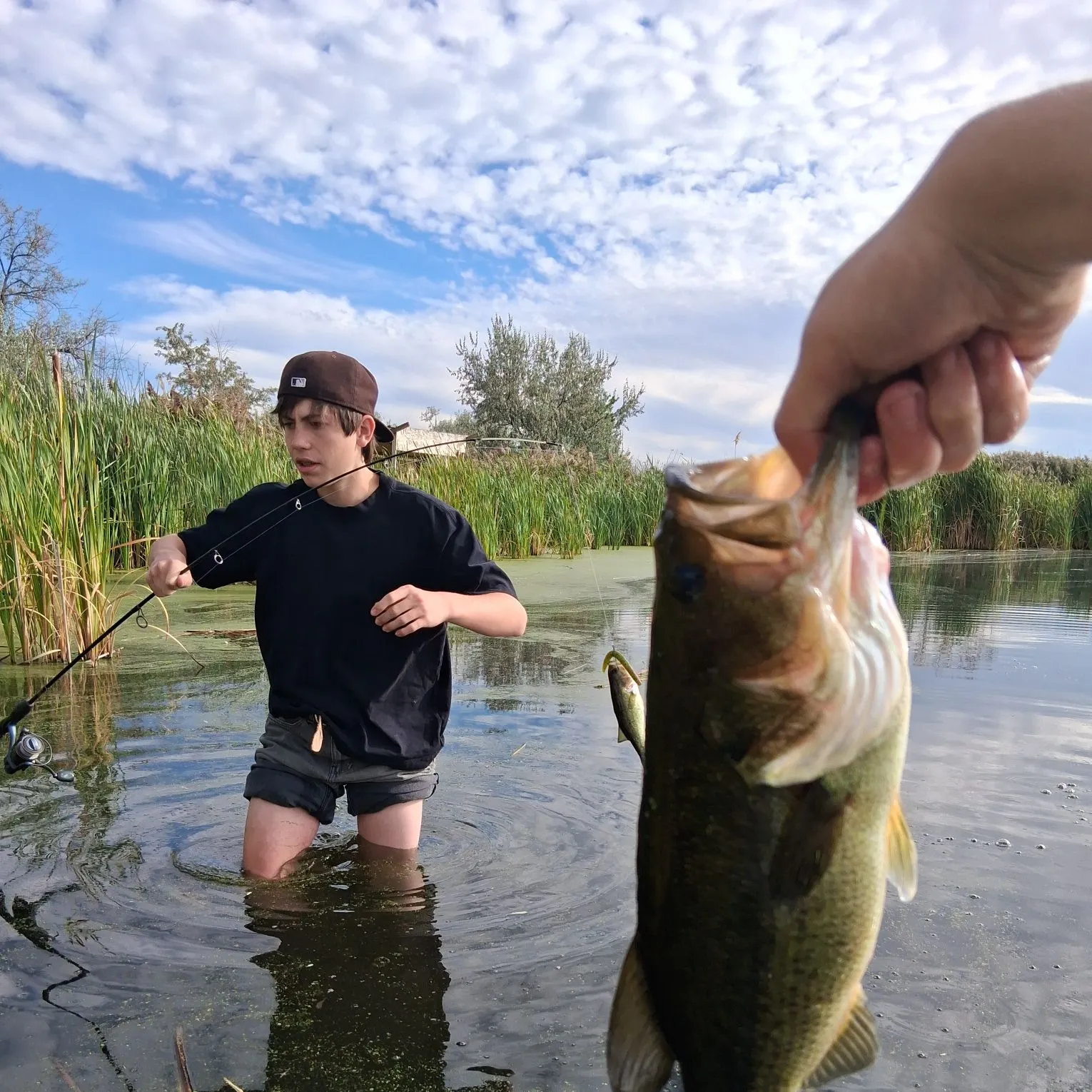 Largemouth bass caught on Fishbrain