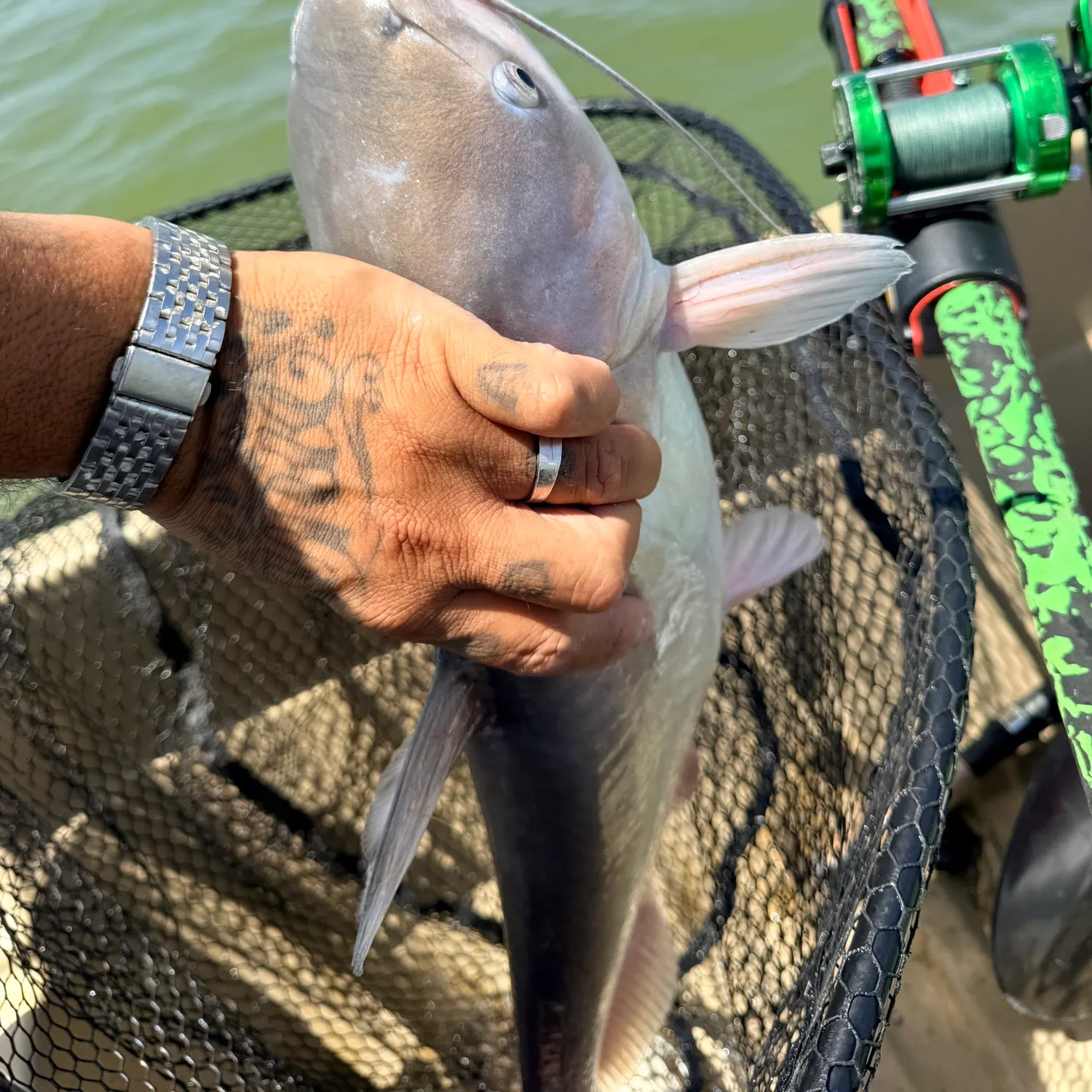 catch