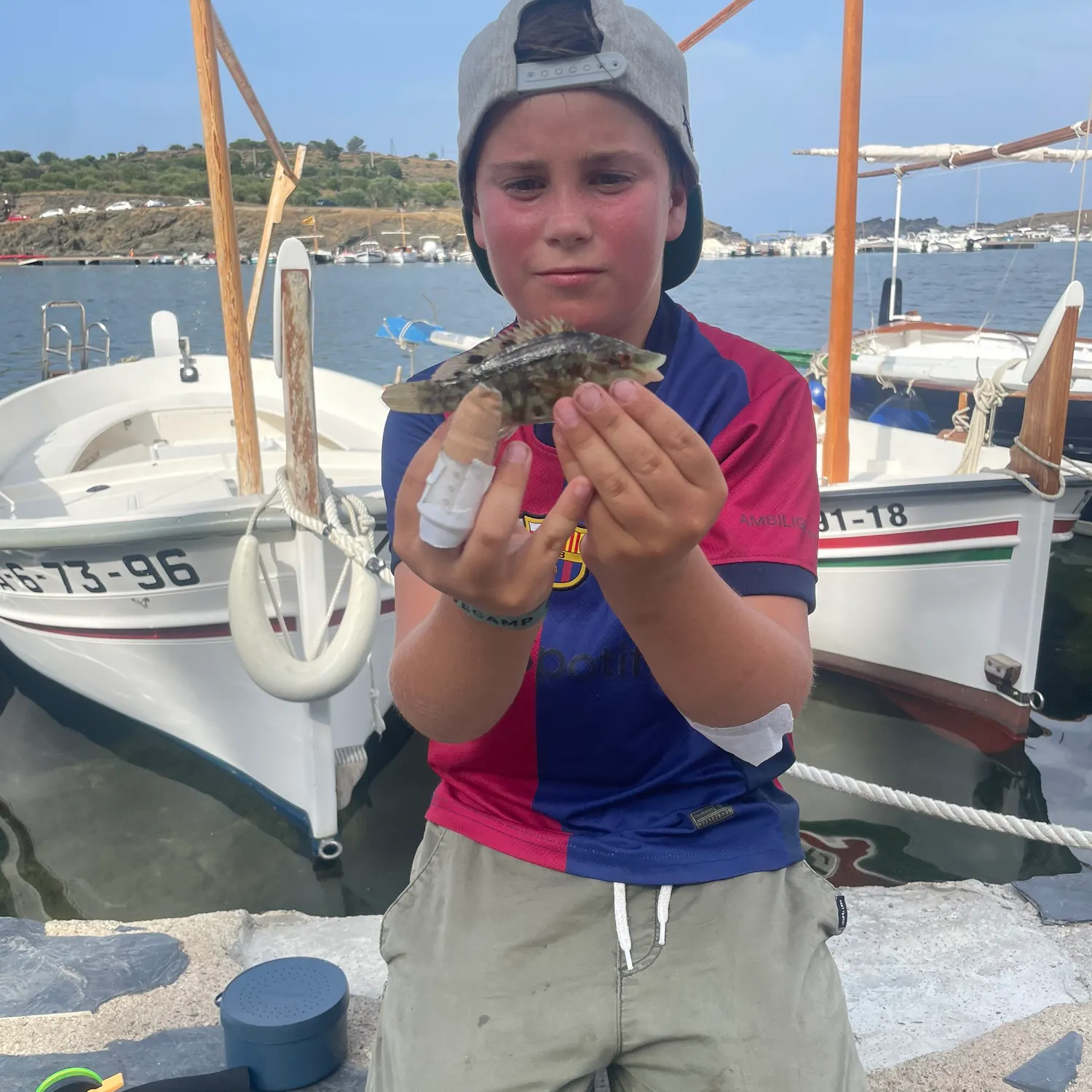 The most recent Corkwing wrasse catches on Fishbrain