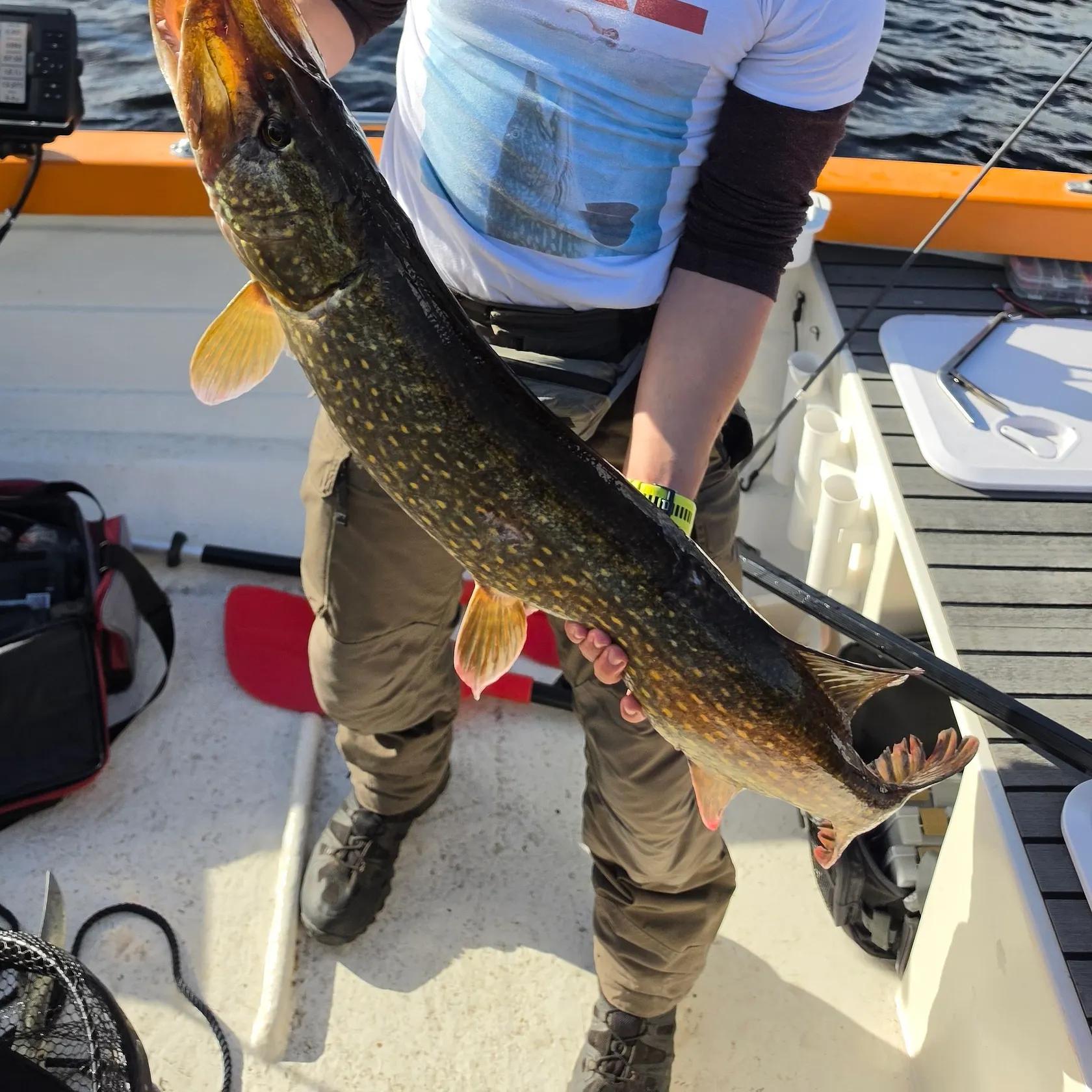 Northern pike caught on Fishbrain