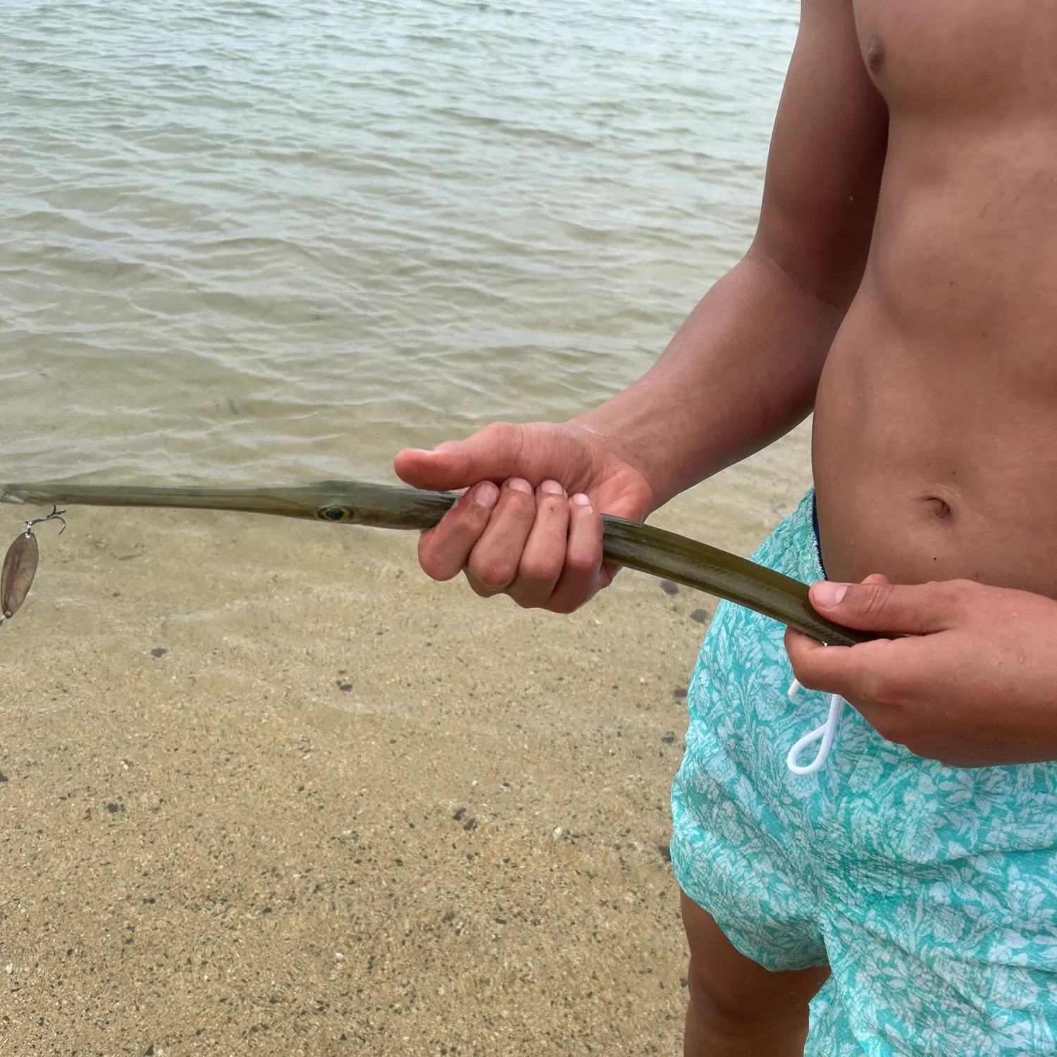 The most recent Chinese trumpetfish catches on Fishbrain