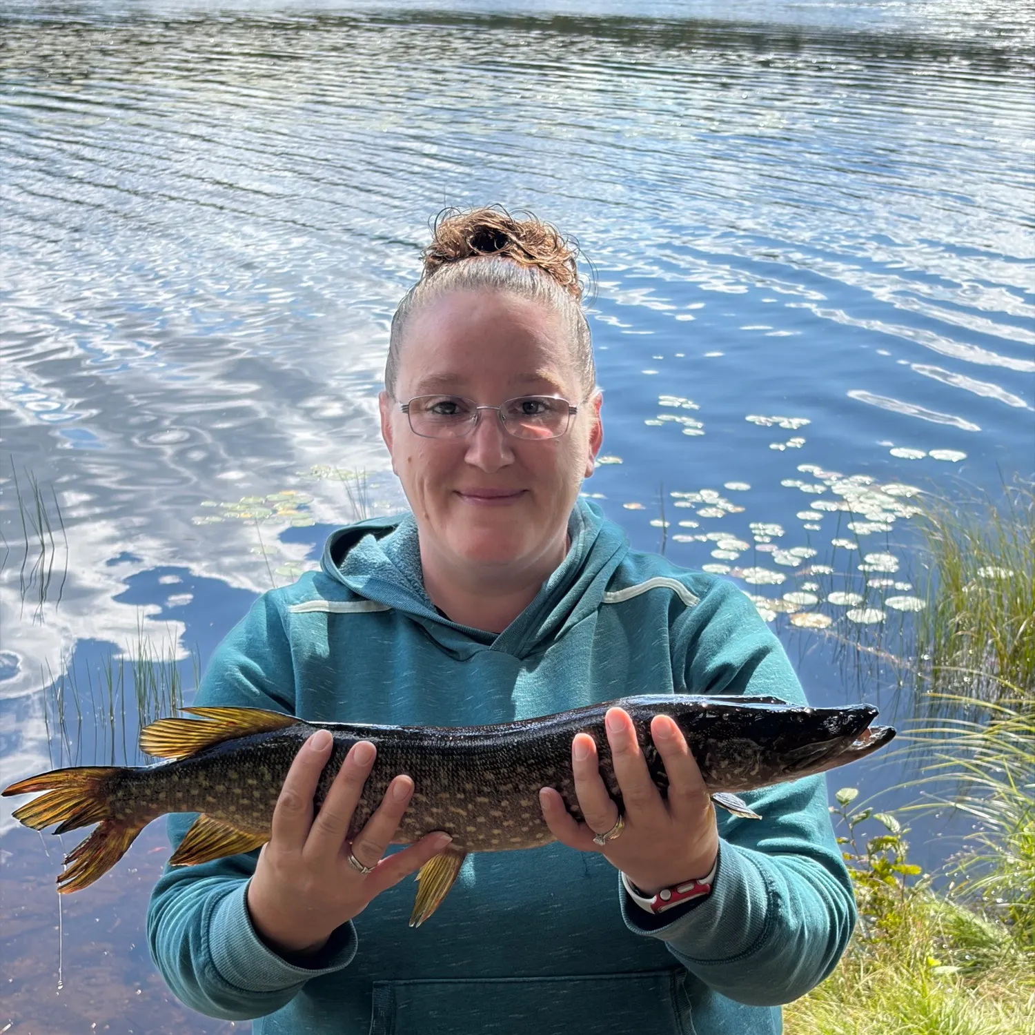 Northern pike caught on Fishbrain