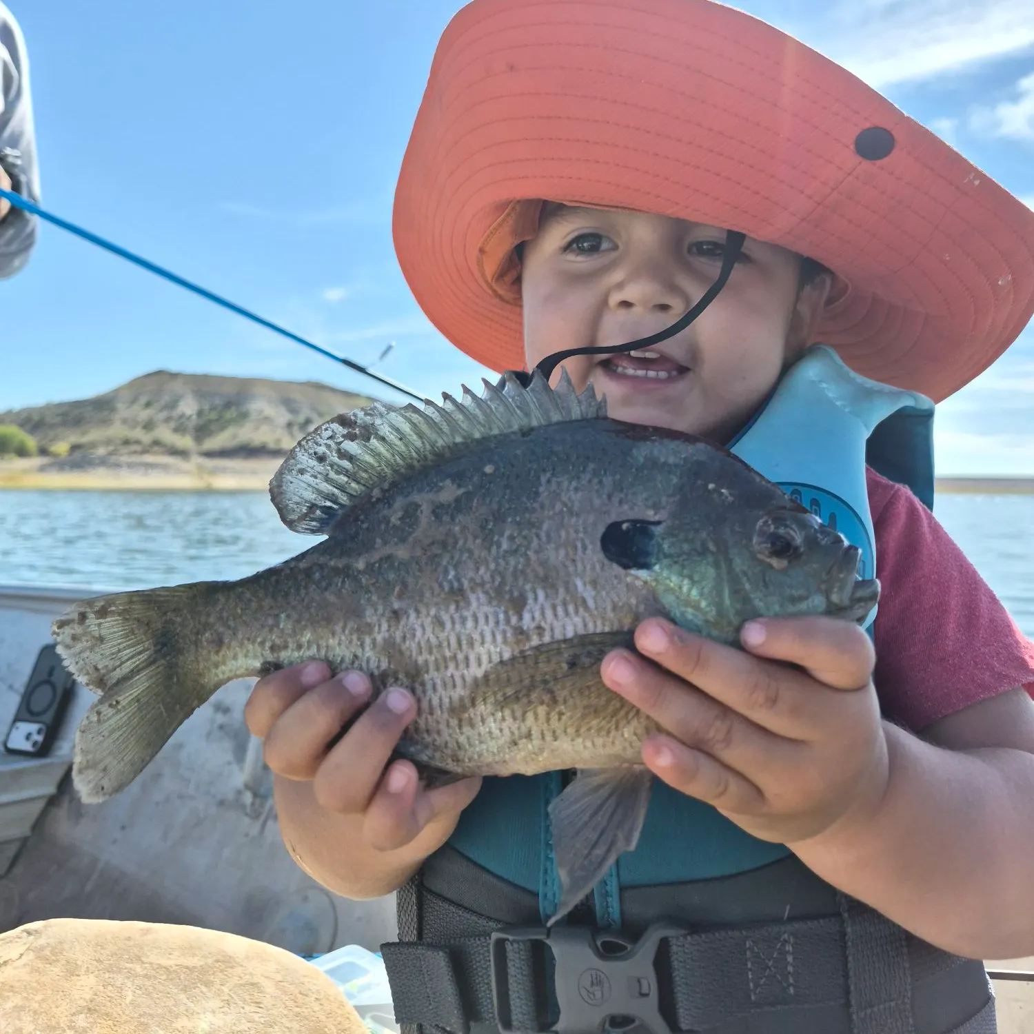 Bluegill caught on Fishbrain