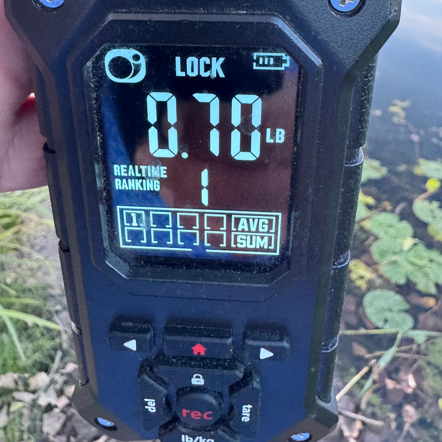 recently logged catches