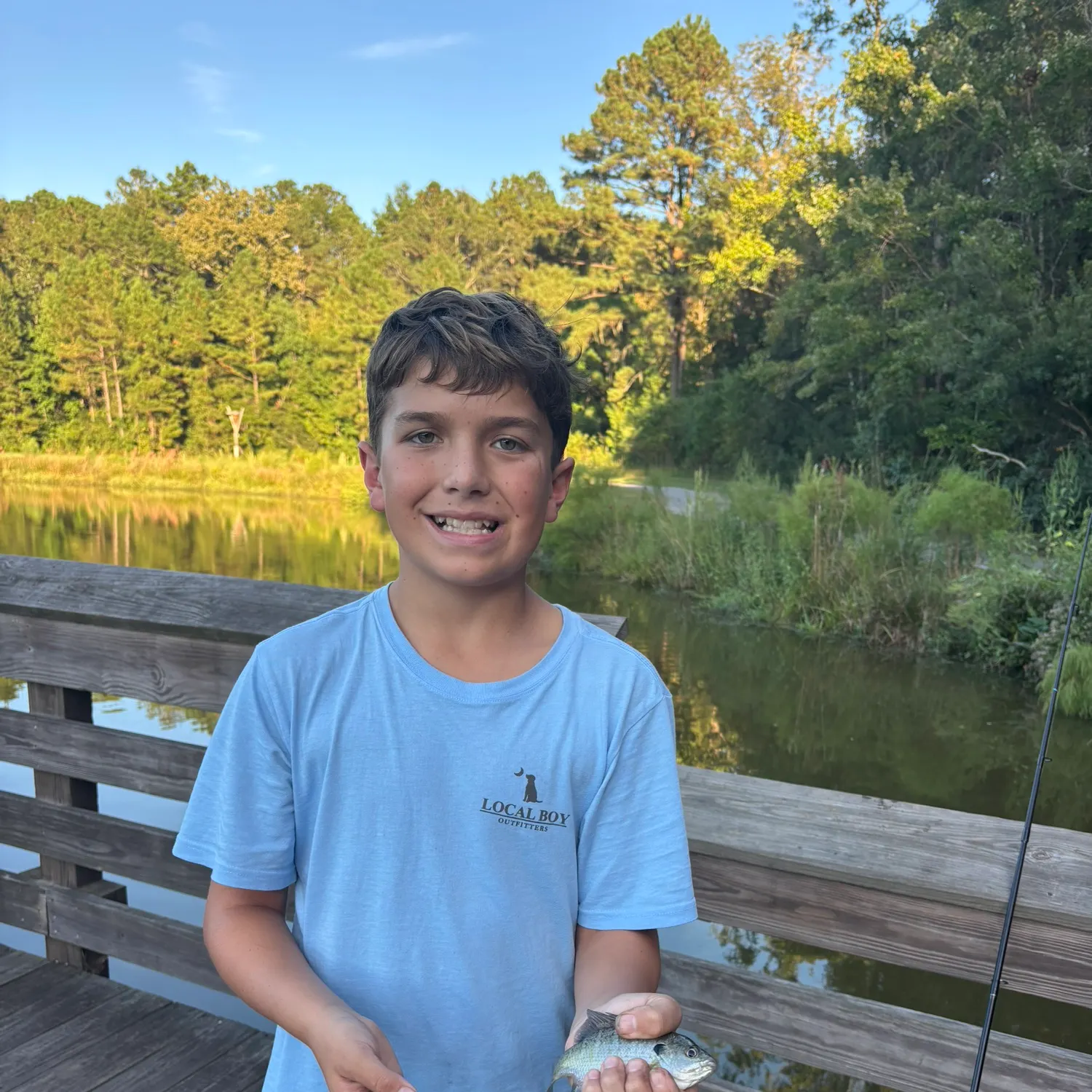 Bluegill caught on Fishbrain