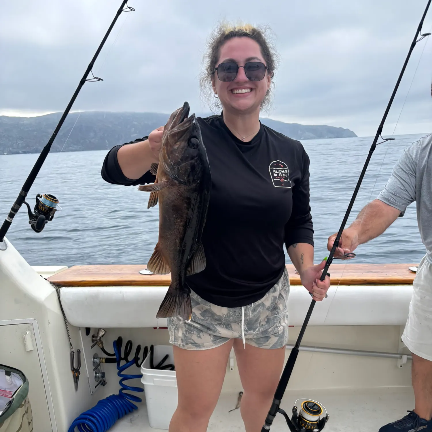 The most recent Bocaccio rockfish catches on Fishbrain