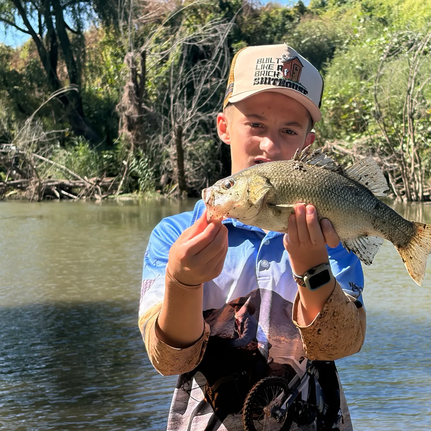 The most recent Australian bass catches on Fishbrain