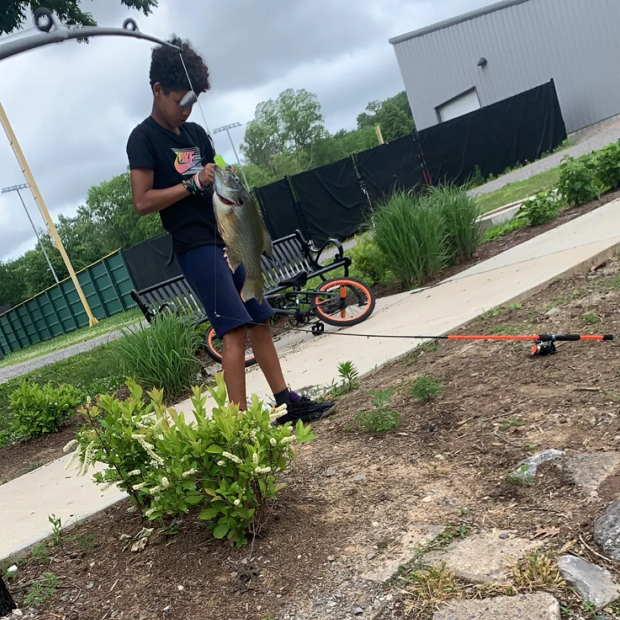 catch
